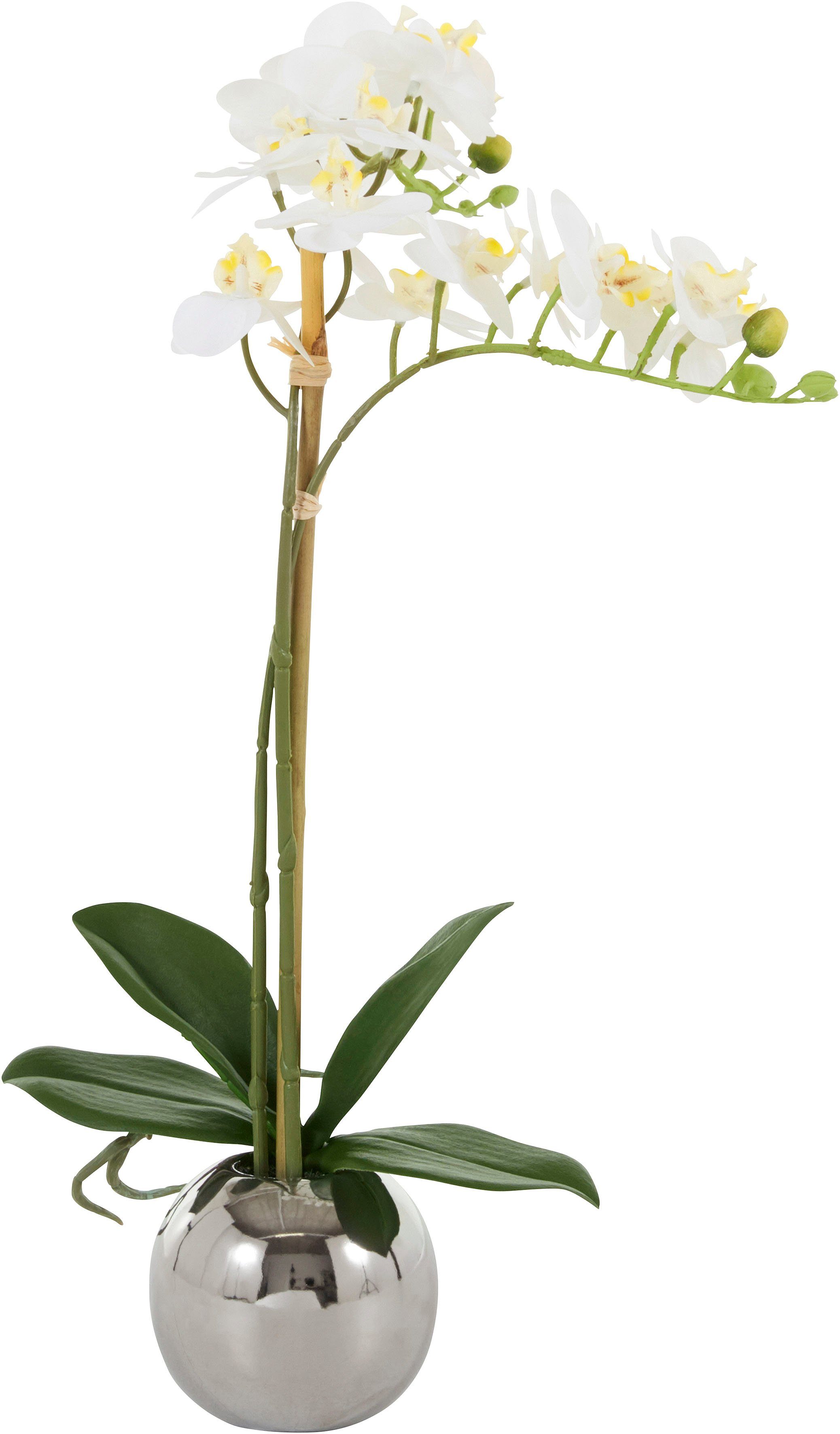 Kunstorchidee Voguish Orchidee, Guido Maria Kretschmer Home&Living, Höhe 39  cm, Kunstpflanze, im Topf aus Keramik | Kunstorchideen