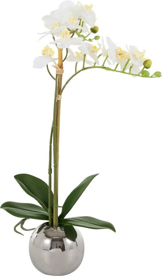 Kunstorchidee Voguish Orchidee, Guido Maria Kretschmer Home&Living, Höhe 39  cm, Kunstpflanze, im Topf aus Keramik