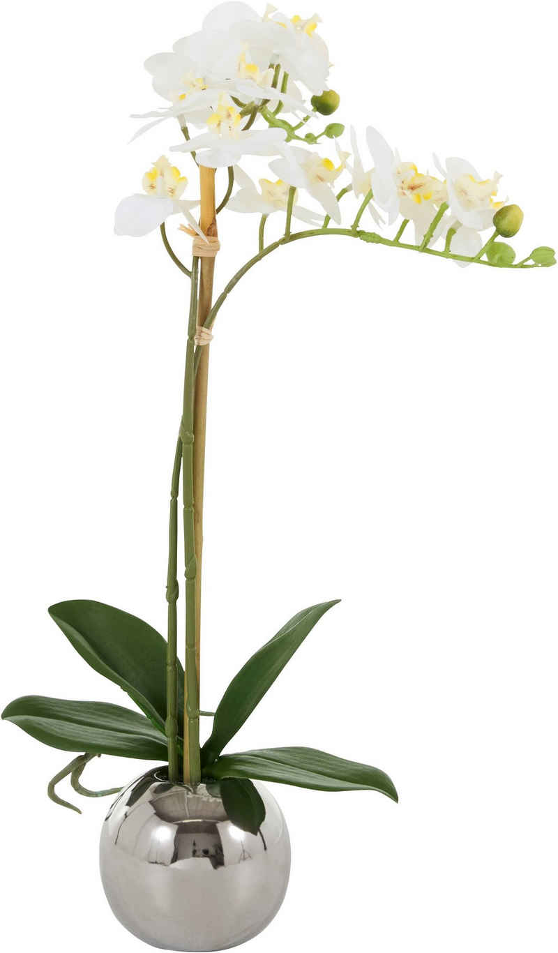 Kunstorchidee Voguish Orchidee, Guido Maria Kretschmer Home&Living, Höhe 39 cm, Kunstpflanze, im Topf aus Keramik