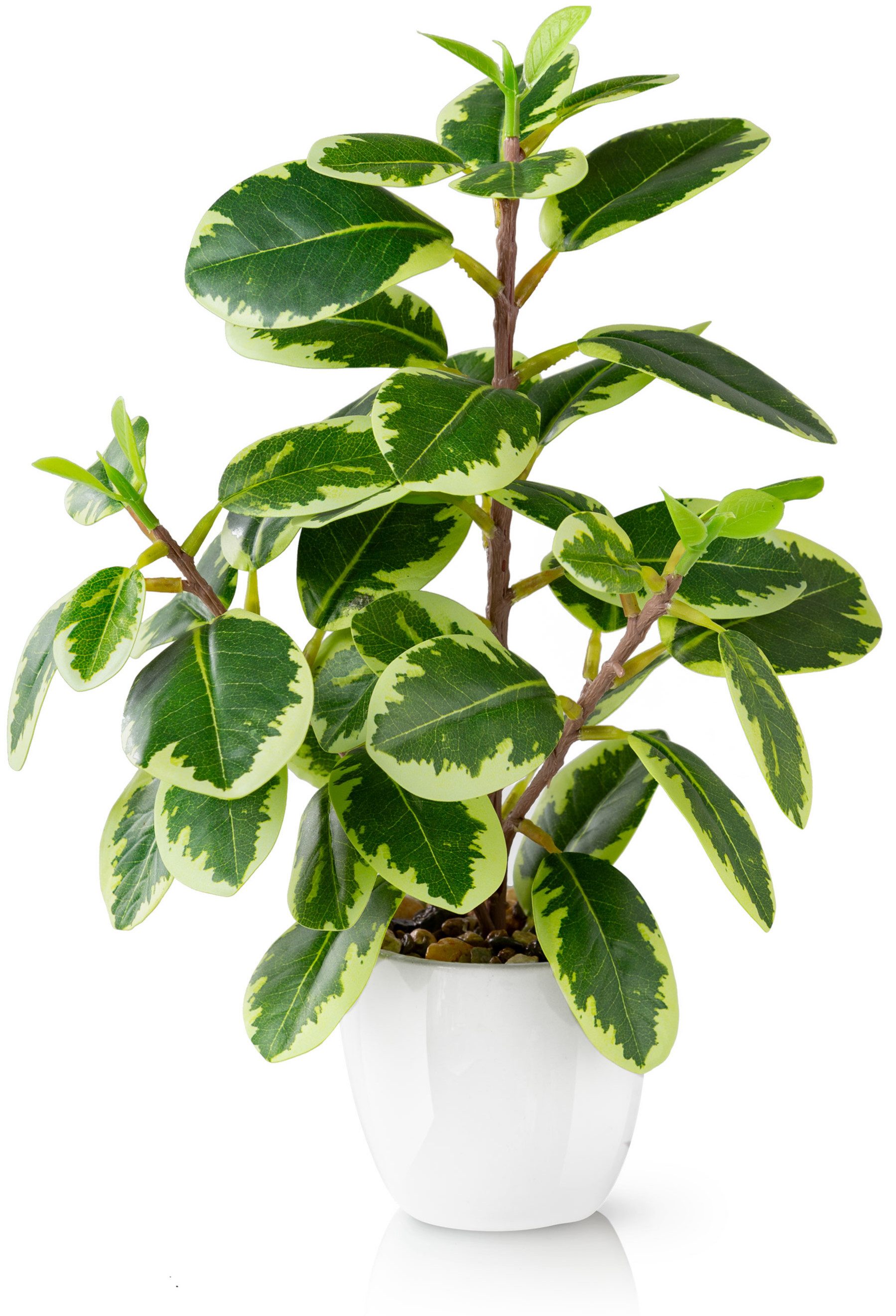 Kunstpflanze Tropische Kunstpflanzen wie echt in weißen Keramiktöpfen, Kunstpflanze Tropische Kunstpflanzen (u.a. Monstera & Areca Palmen), PASCH, Höhe 25 cm