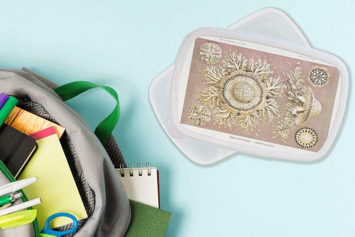 MuchoWow Lunchbox Erwachsene, Ernst für Brotbox Jahrgang und Kunststoff, und für - Haeckel Kinder - Qualle Kunst, Mädchen (2-tlg), - weiß Jungs Brotdose