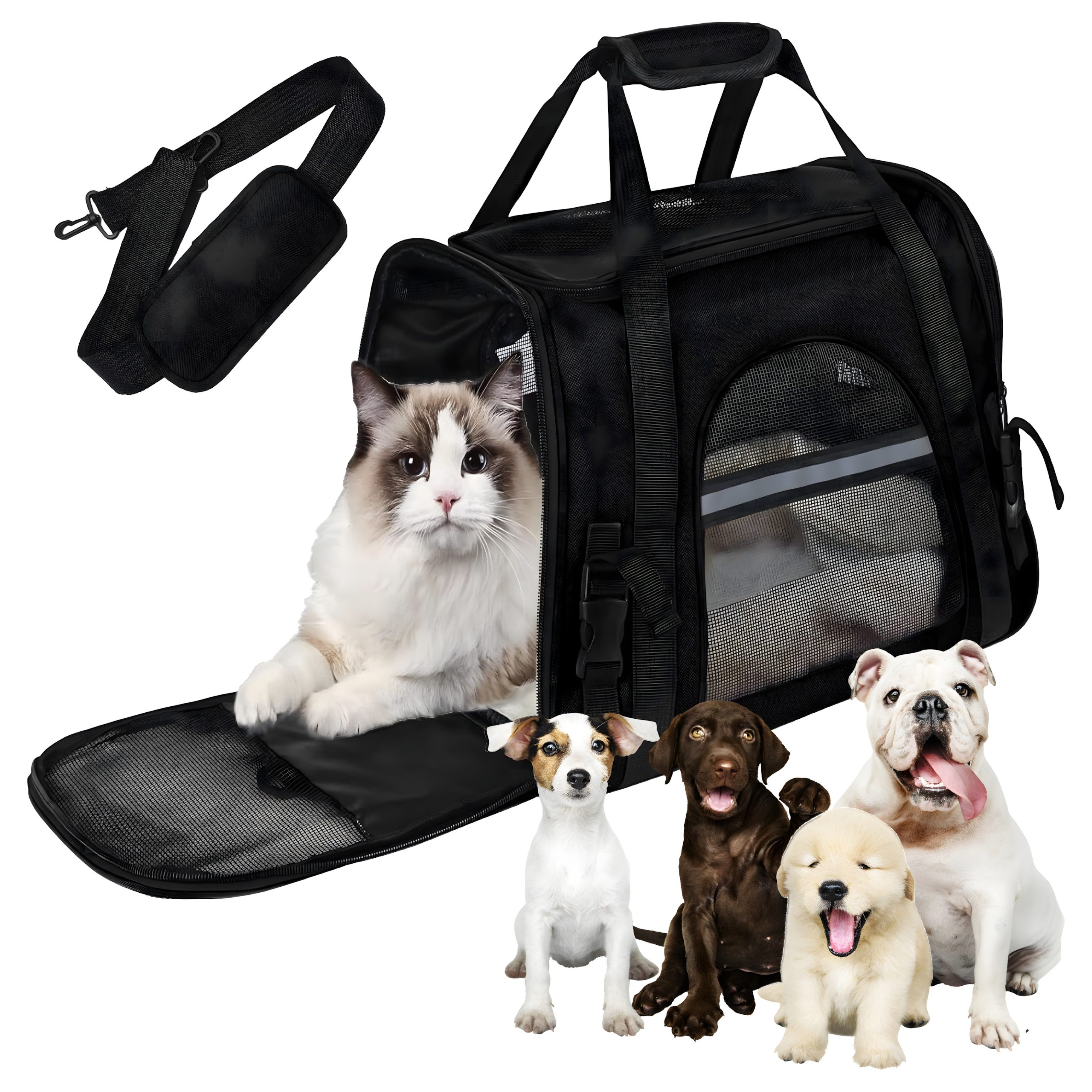 Realb2b Tiertransporttasche Hundetragetasche Katze Kleintiere faltbare Transporttasche Polyester bis 6 kg, Faltbare Tiertransporttasche Belüftung, sicherem Reißverschluss Gurt