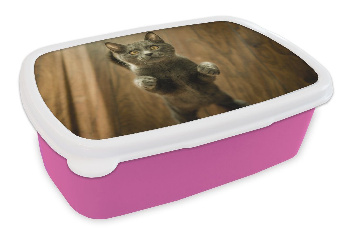 rosa Brotdose Mädchen, Snackbox, Kunststoff Lunchbox MuchoWow Kunststoff, (2-tlg), - Kinder, Grau, Erwachsene, für Boden - Brotbox Katzen