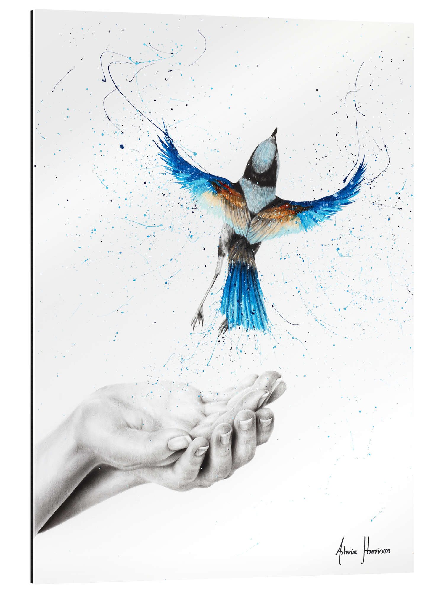 XXL-Wandbild Ashvin Harrison