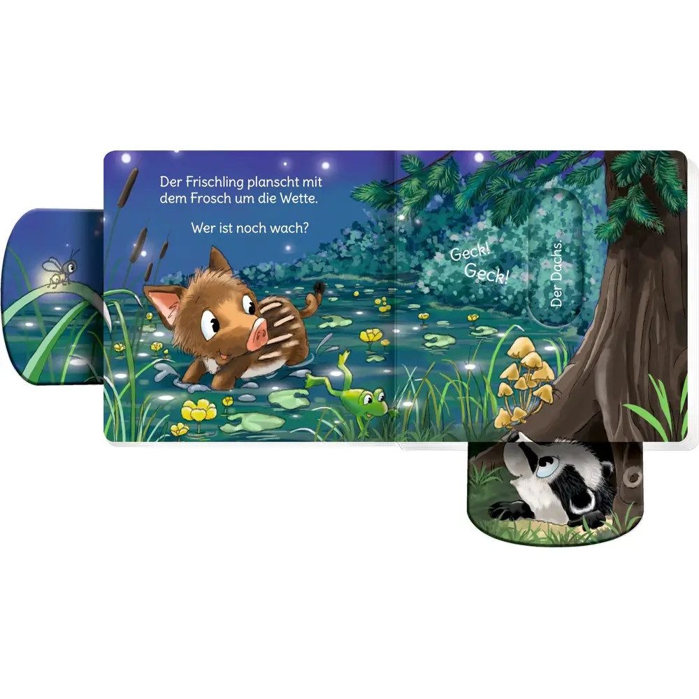 COPPENRATH DIE SPIEGELBURG Zeichenalbum minifanten 54: Miau! Wer ist noch wach?