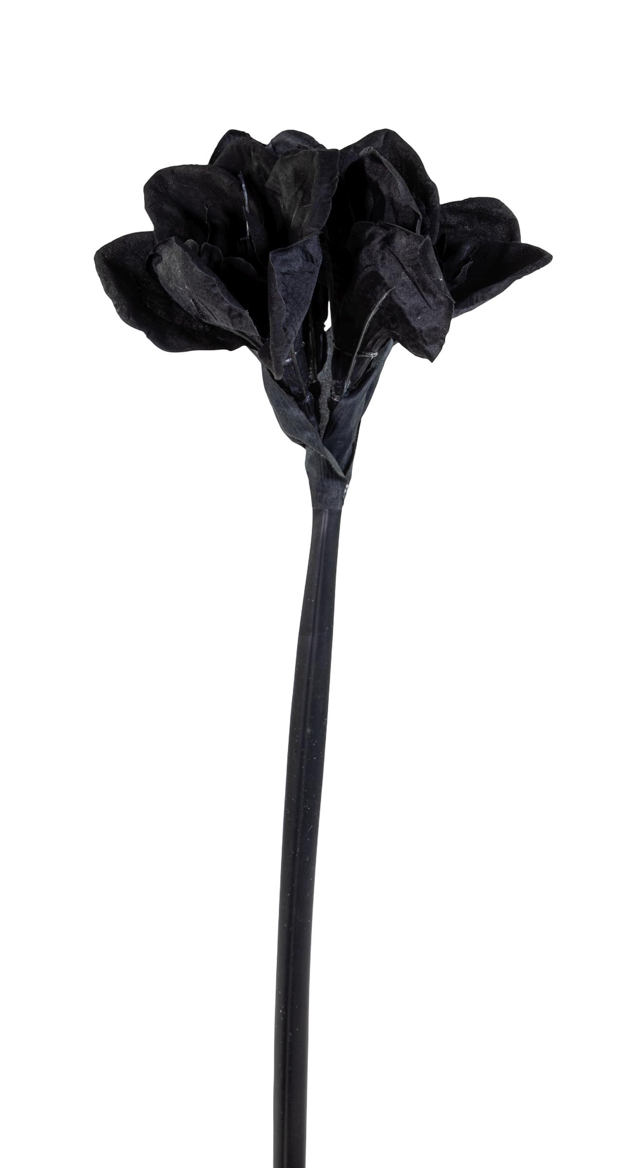 Kunstblume Künstliche Amaryllis 65m schwarz GA – Edler Ritterstern Kunstblume, Seidenblumen Roß, Höhe 65,00 cm