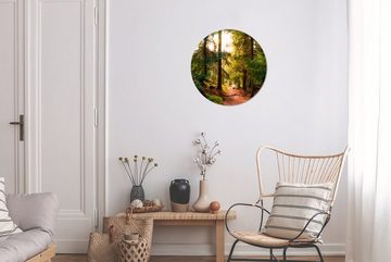 MuchoWow Gemälde Wald - Weg - Bäume - Grün - Sonne - Natur, (1 St), Kreis Wanddekoration Forex, Rundes Wandbild, Wohnzimmer, 30x30 cm