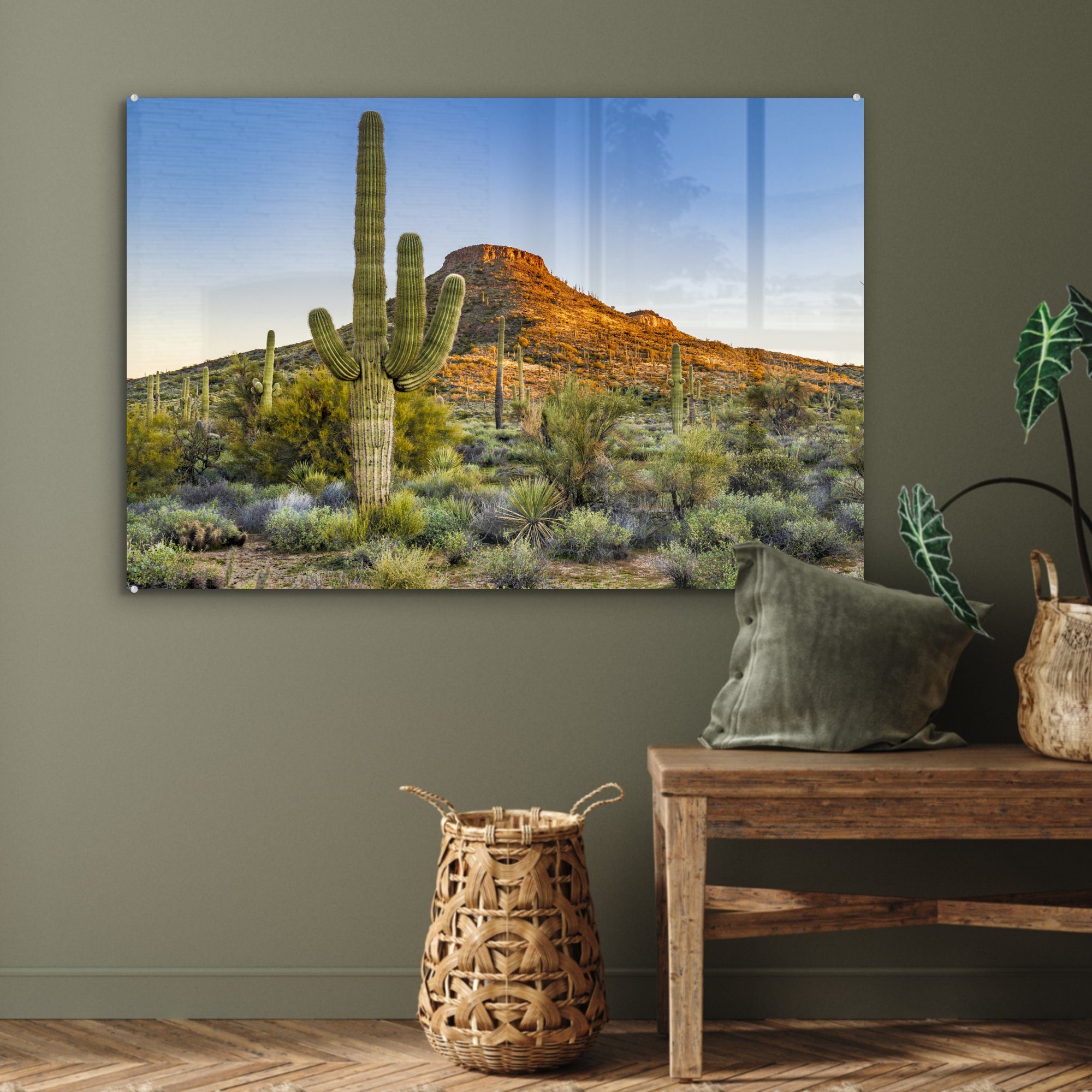 Acrylglasbild St), - Gebirge, - Acrylglasbilder & MuchoWow (1 Schlafzimmer Kaktus Pflanzen Wohnzimmer Wüste -