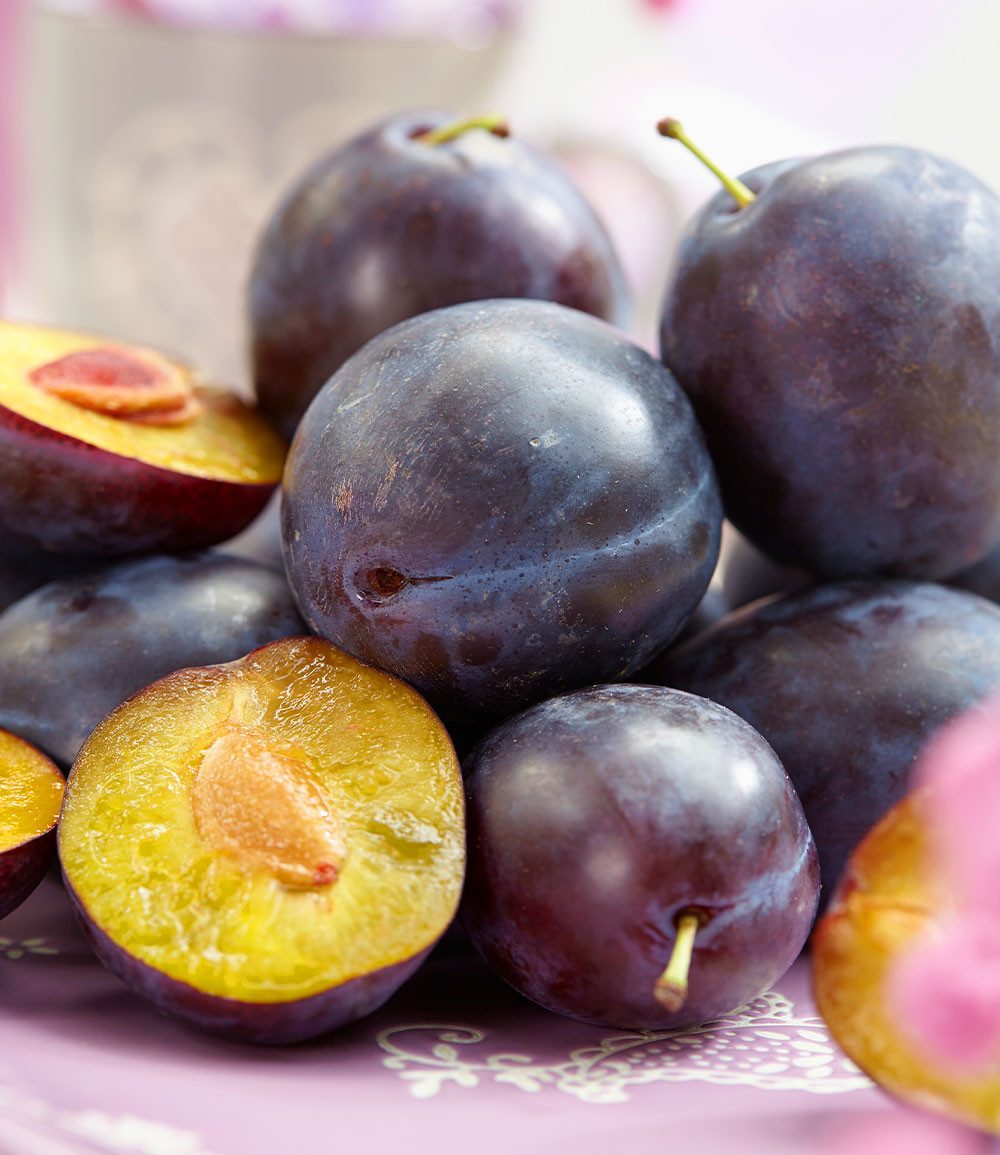 BALDUR Garten Obstpflanze Säulen-Zwetschge 'Anja®', 1 St., Selbstbefruchtend, winterhart, mehrjährig, pflegeleicht