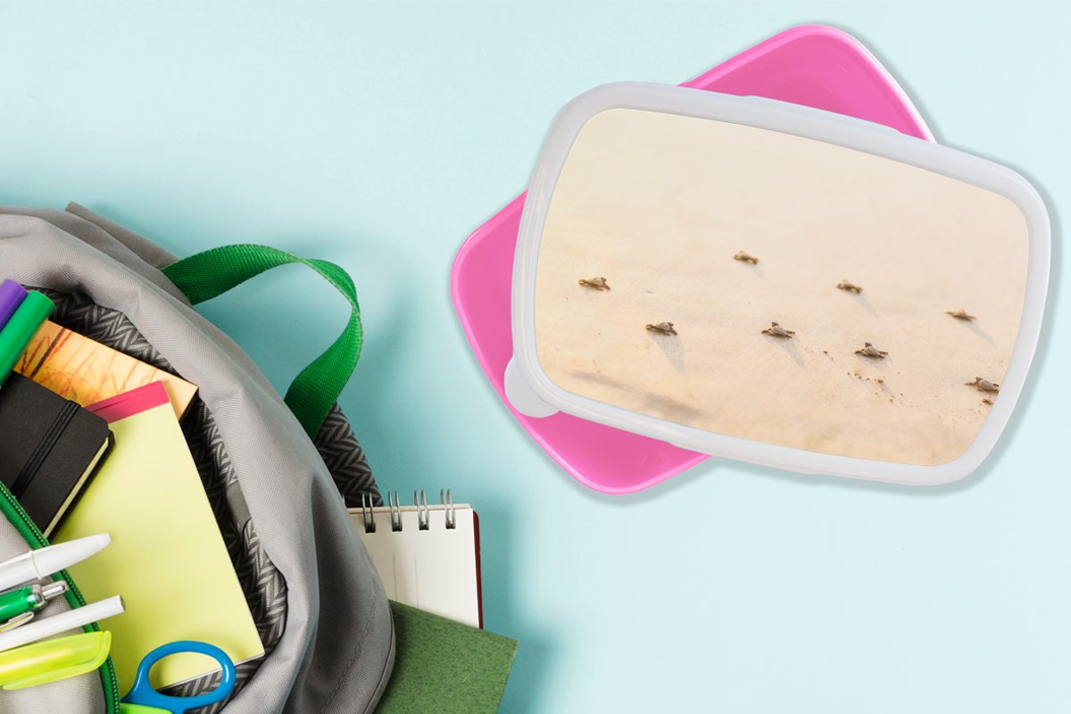 Kinder, Erwachsene, (2-tlg), rosa Brotbox Lunchbox MuchoWow Baby-Schildkröten Mädchen, Kunststoff, Brotdose Kunststoff für Snackbox, Fotodruck,