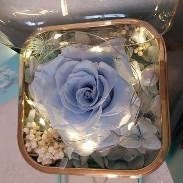 Kunstblume Ewige Konservierte Rose Kristallkette Box Hochzeitstag Valentinstag, Tidy, Geschenkset