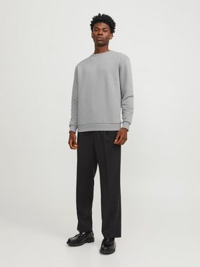 Jack & Jones Sweatshirt JJEBRADLEY SWEAT CREW NOOS