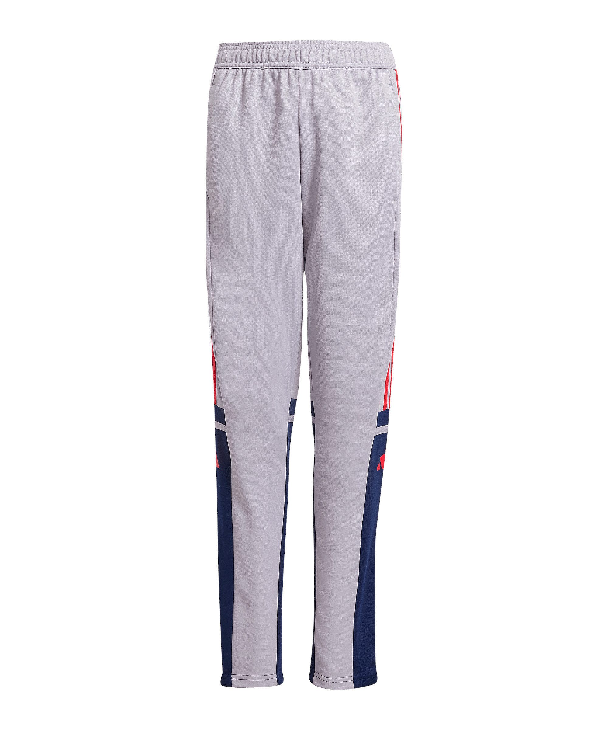 Glory Grey / Team Navy Blue 2 / Pure Ruby