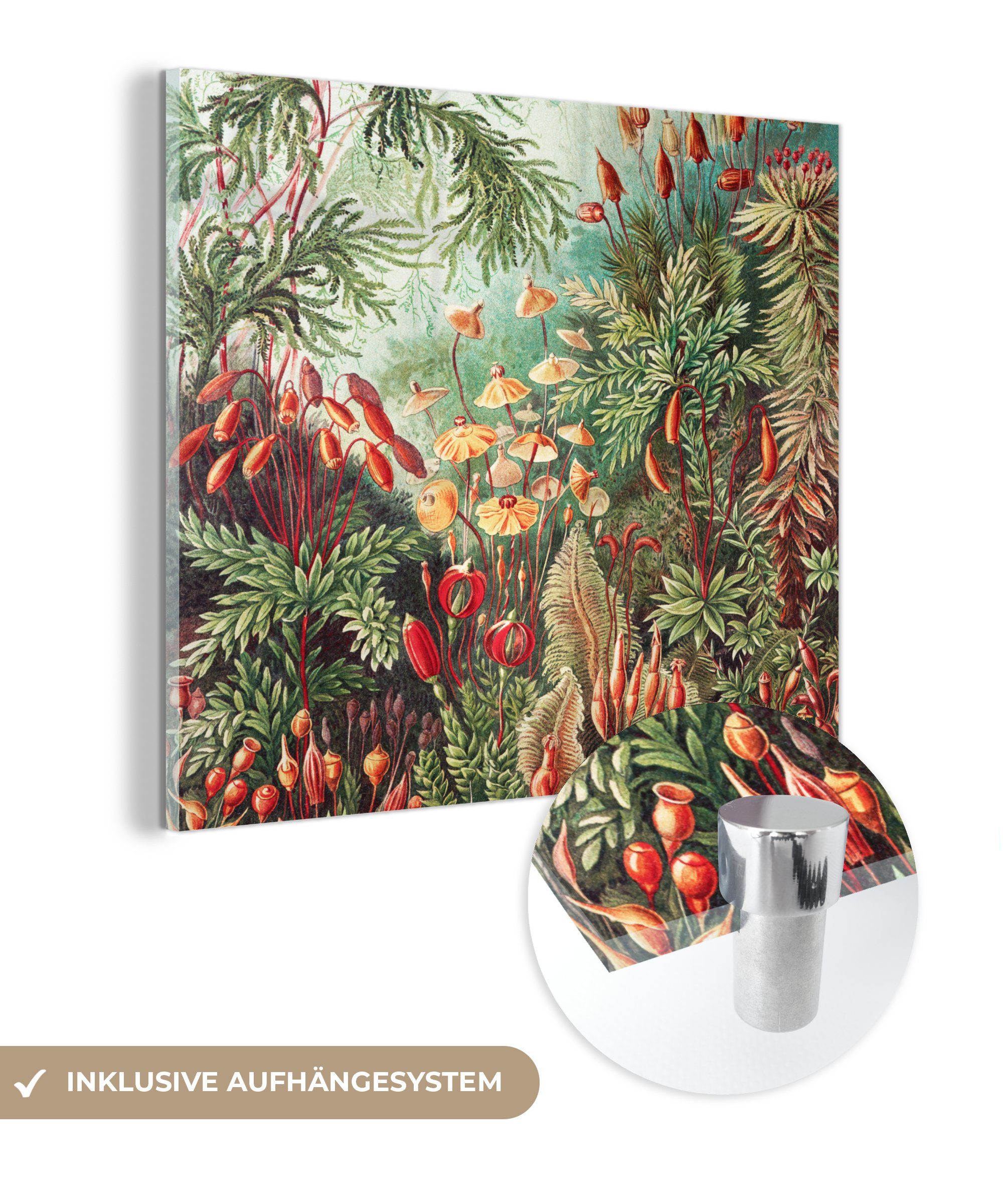 MuchoWow Acrylglasbild Blumen - Kunst - Vintage - Natur - Botanisch, (1 St), Dekorative Bild für Küche & Wohnzimmer auf Glas