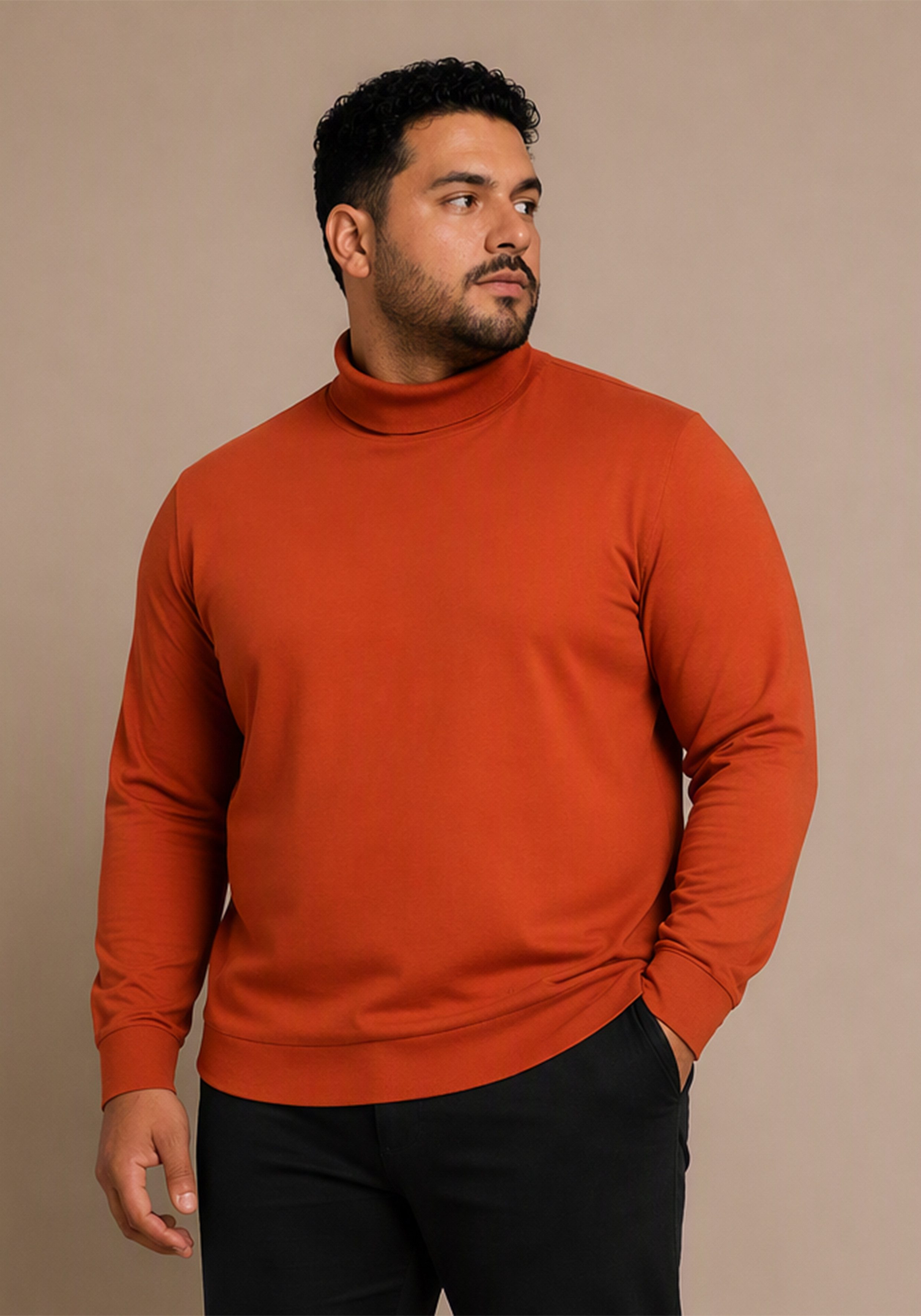 Man's World Plus Rollkragenshirt auch in Grosse Größen bis Gr. 7XL Bauch-Fit Regular Fit, Langarm, unifarbenes Basic-Stil