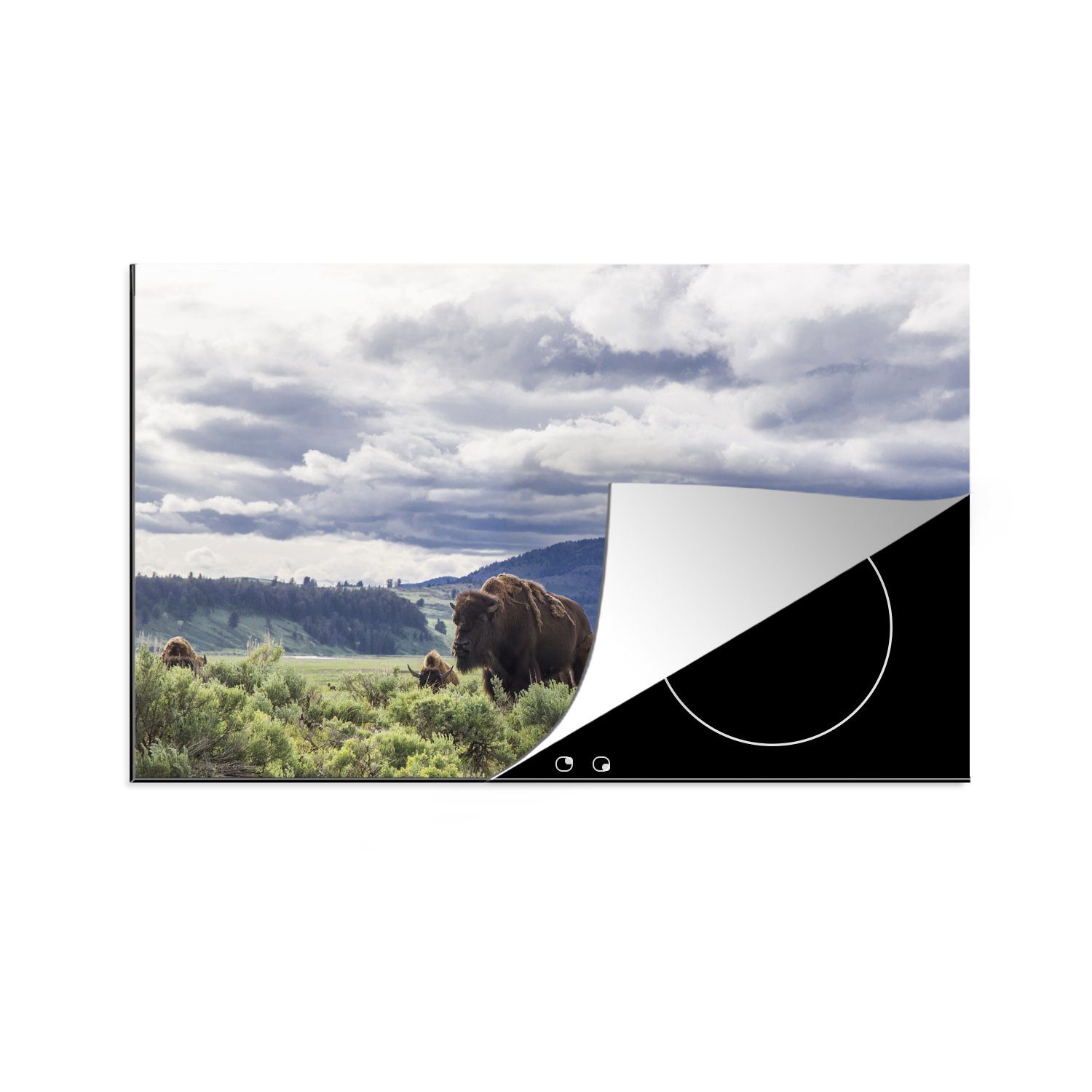 MuchoWow Herdblende-/Abdeckplatte Bison auf einer Wiese in Wyoming, Vinyl, (1 tlg), 81x52 cm, Induktionskochfeld Schutz für die küche, Ceranfeldabdeckung