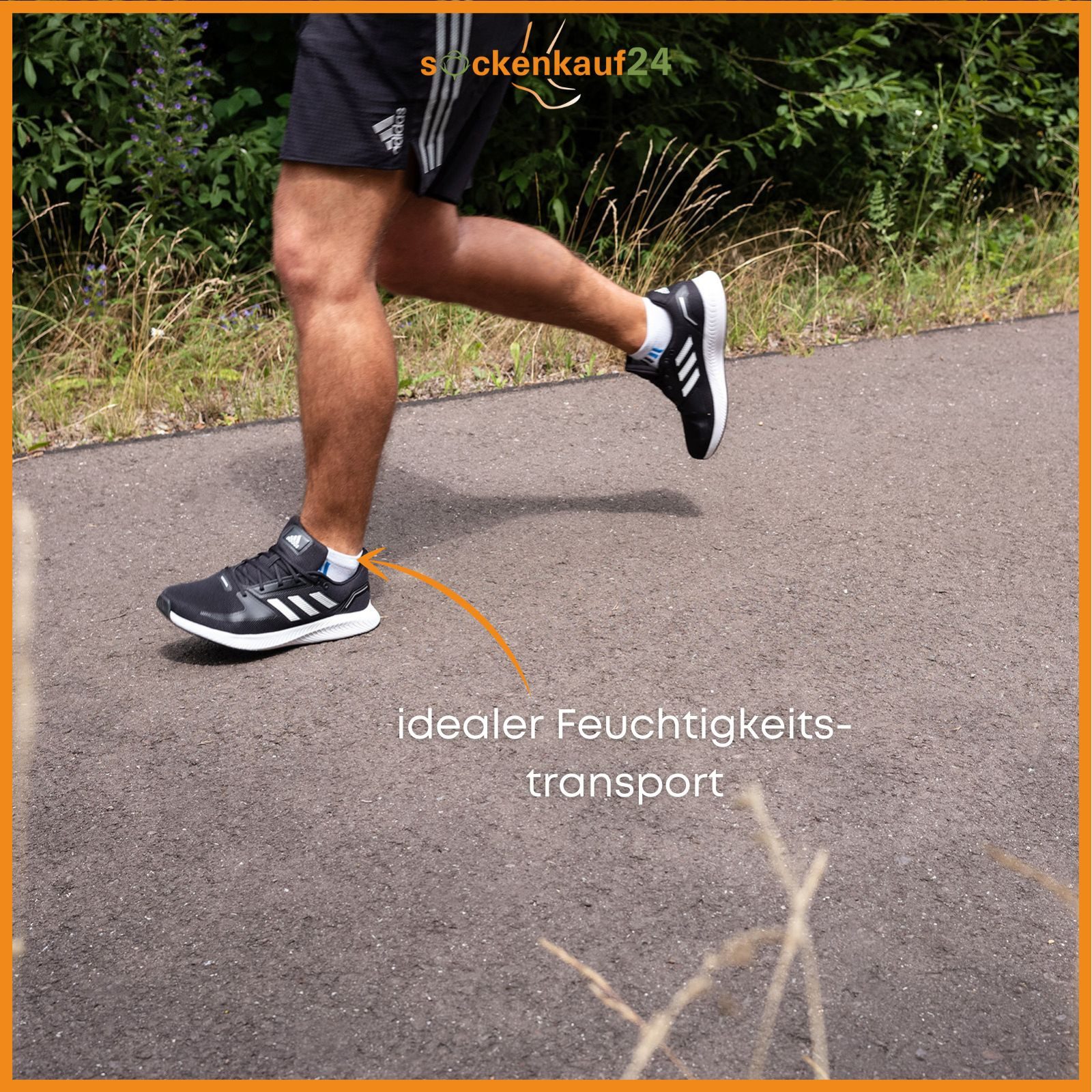 sockenkauf24 Sneakersocken 8, 12 oder 20 Paar Sneaker Socken SPORT (47-50, 8-Paar, 16735) Socken Damen & Herren Sportsocken - WP