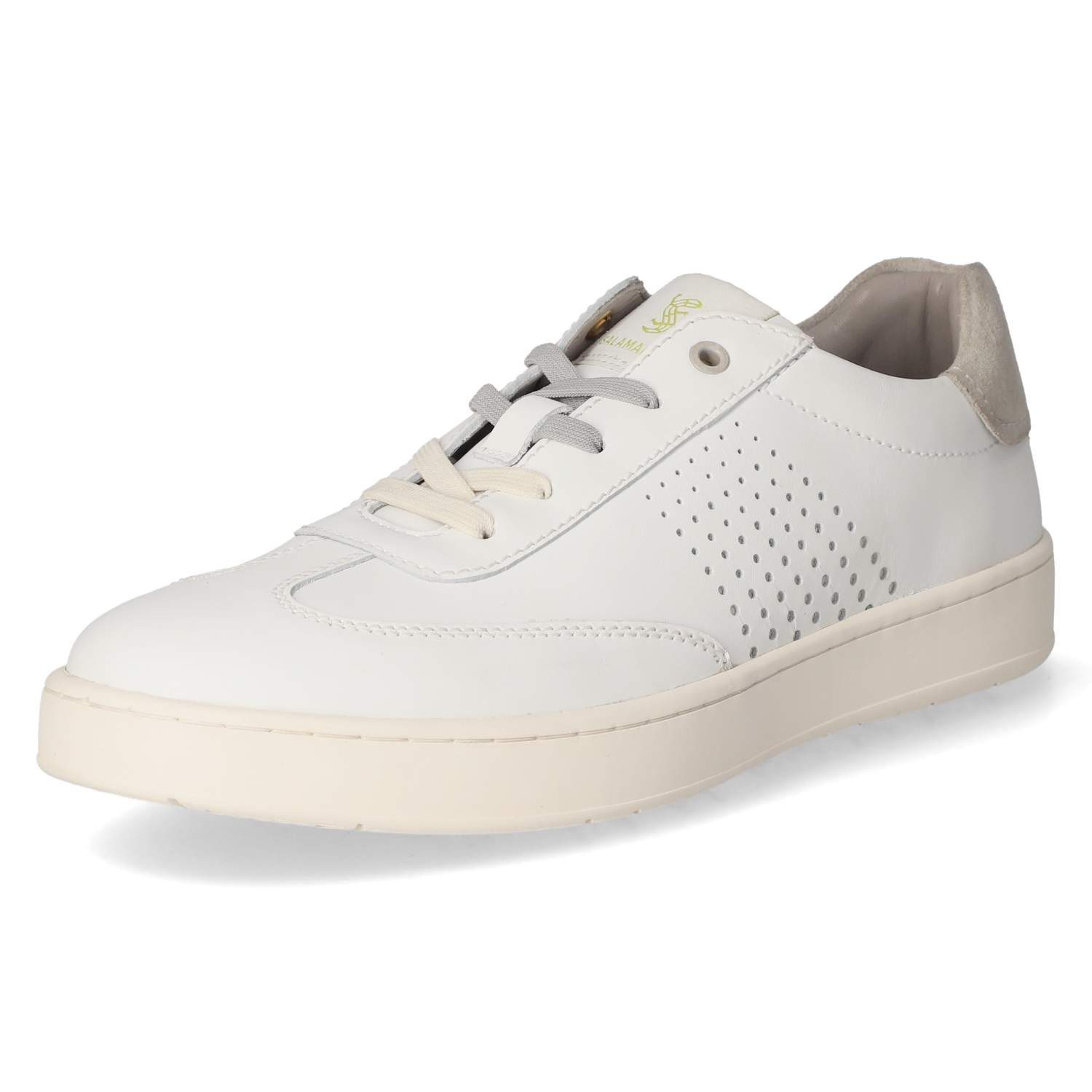 Salamander Salamander E31ASD011000-2000 SP Herren Glattleder white Schnürschuh