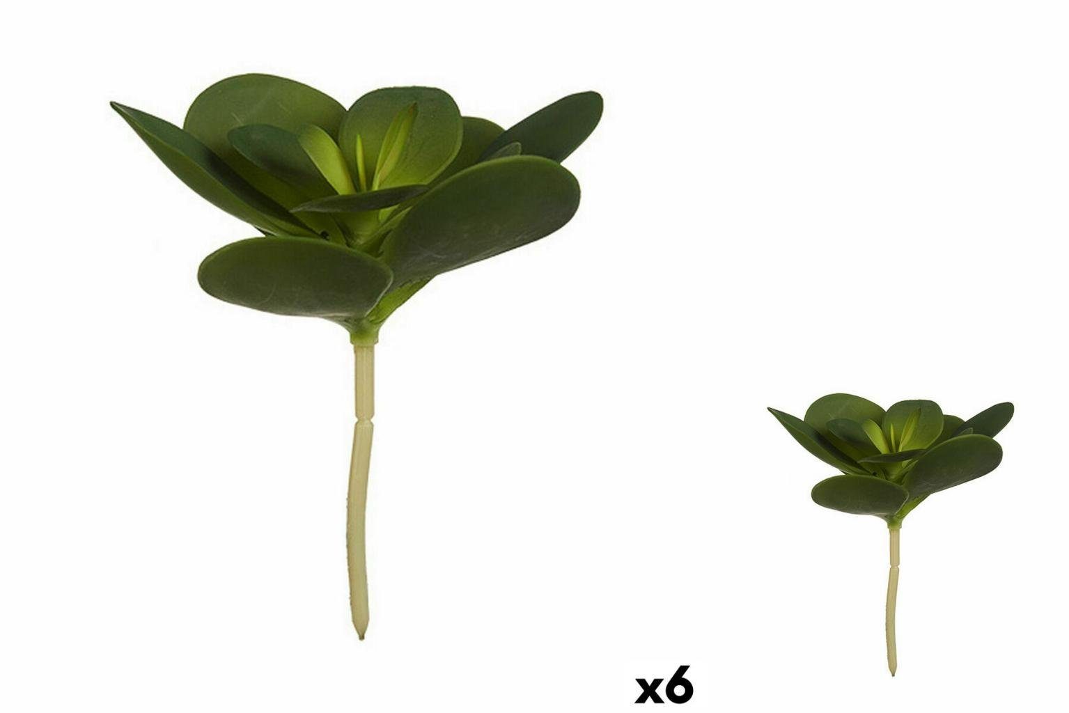 Künstliche Zimmerpflanze Dekorationspflanze Bettlaken kreisförmig Kunststoff 18 x 23 x 18 cm 6, Ibergarden, Höhe 13 cm