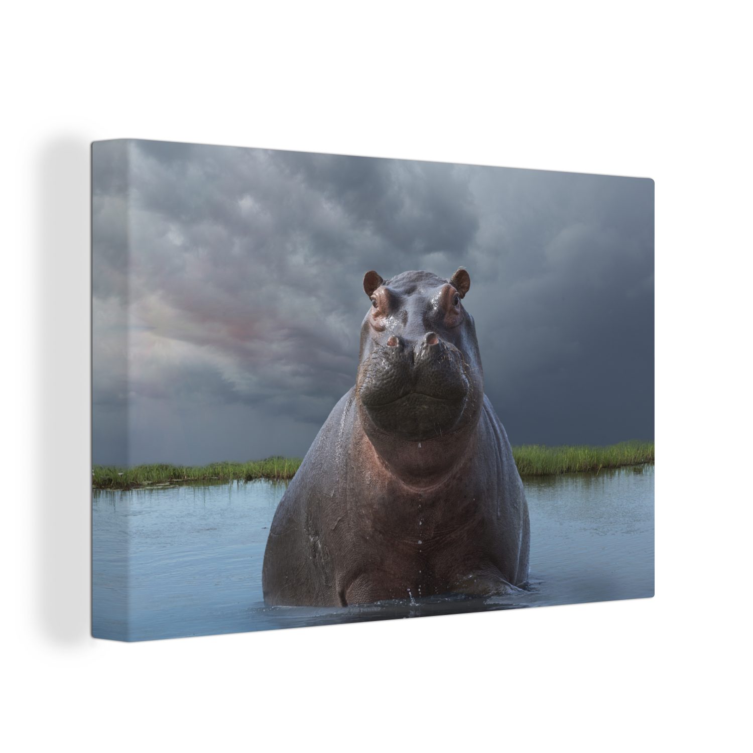 OneMillionCanvasses® Leinwandbild Nilpferd - Wasser - Wolken, (1 St), Wandbild Leinwandbilder, Aufhängefertig, Wanddeko, 30x20 cm