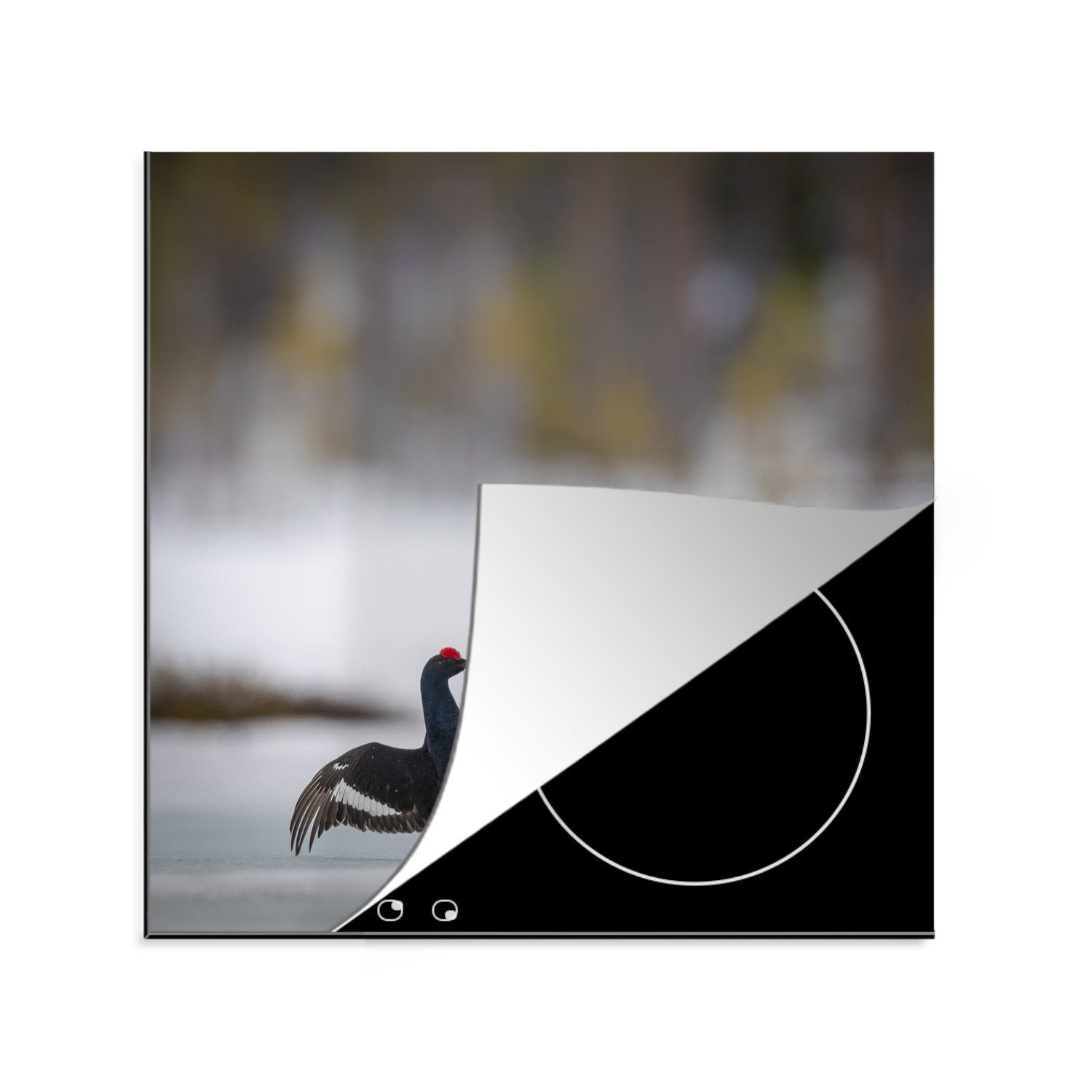 MuchoWow Herdblende-/Abdeckplatte Vogelkampf auf einem See in Finnland, Vinyl, (1 tlg), 78x78 cm, Ceranfeldabdeckung, Arbeitsplatte für küche
