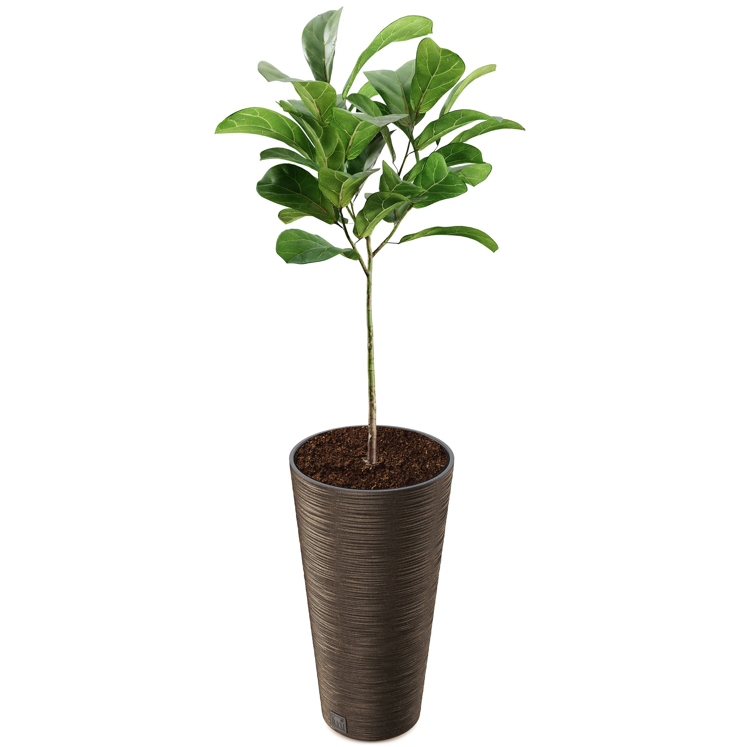 Annastore Pflanzkübel Pflanzsäule aus Kunststoff Pflanzgefäß günstig online kaufen