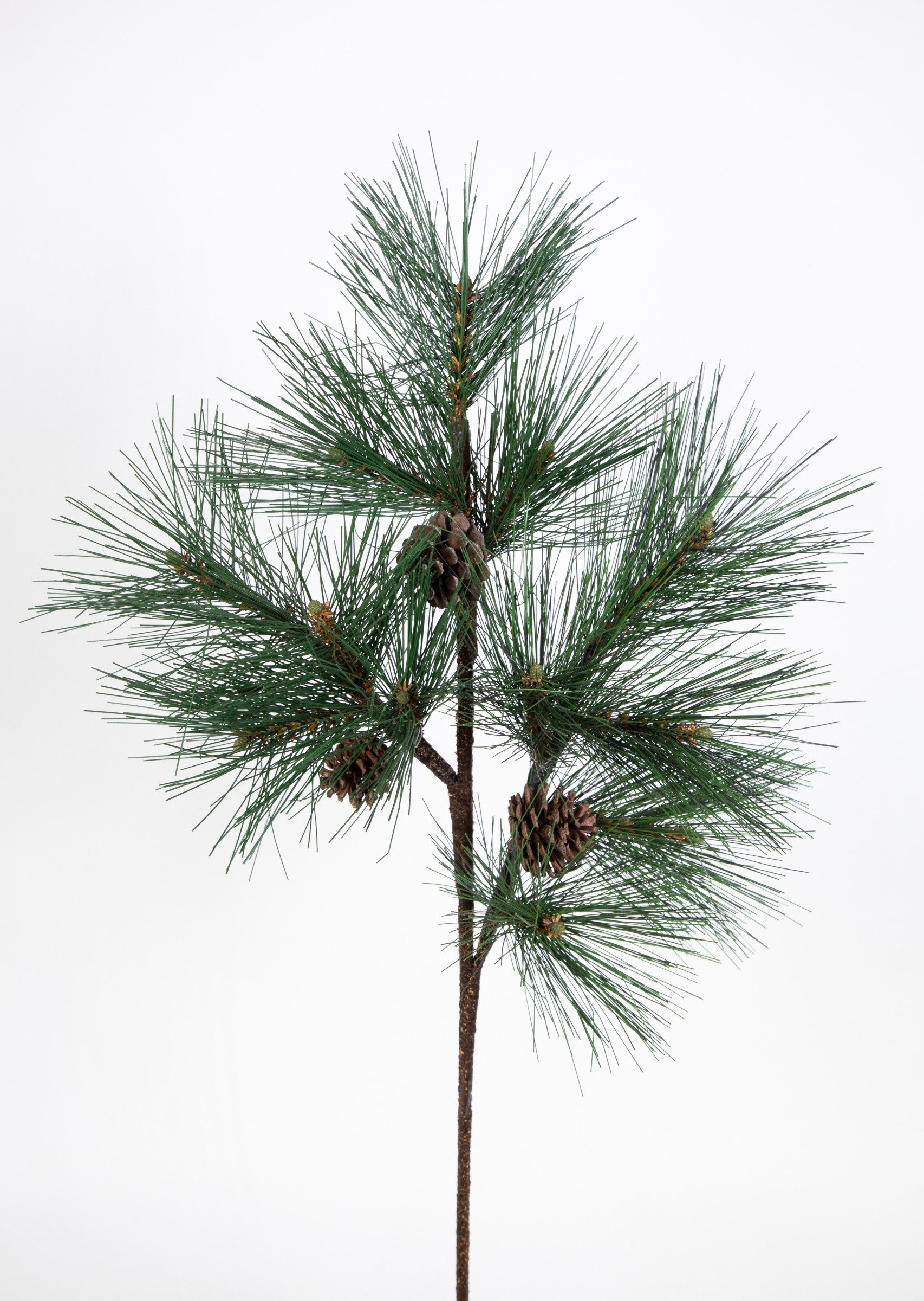 Kunstzweig Großer Kiefernzweig 72cm DP künstlicher günstig online kaufen