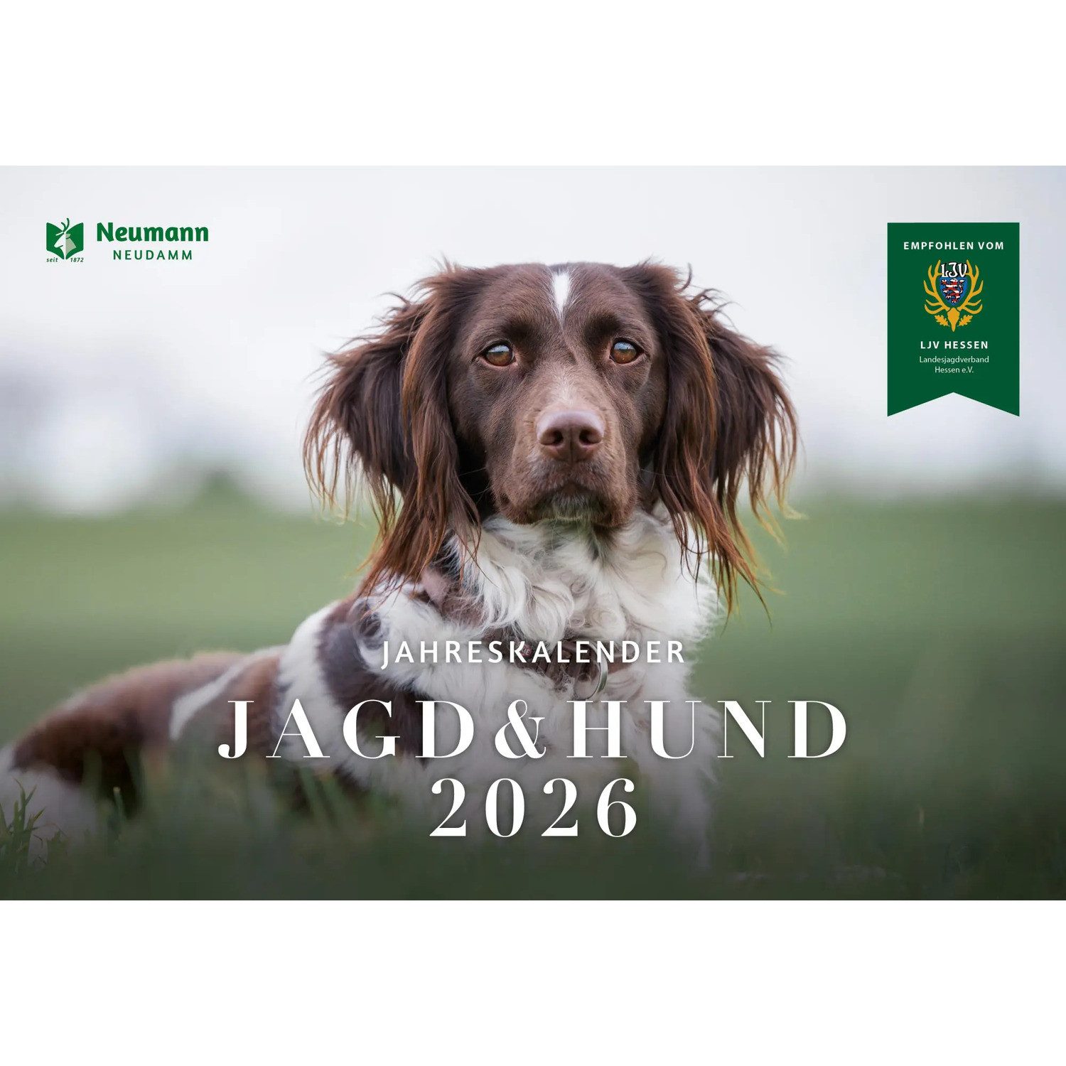 NEUMANN Wandkalender Jagd & Hund Kalender 2026