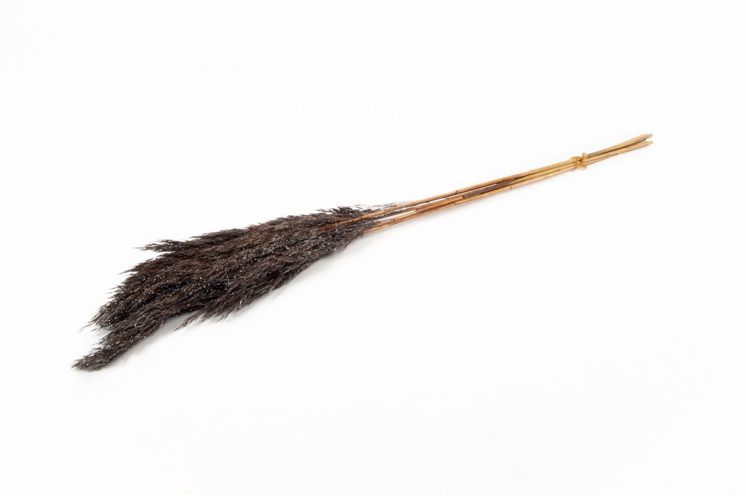 Trockenblume Schilf getrocknet DONJETA, braun-Silber, 70-80cm, Ø15cm, INNA-Glas, Höhe 80.0 cm