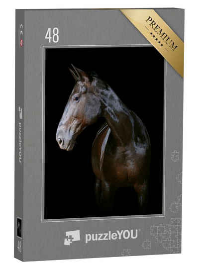 puzzleYOU Puzzle Dunkles Pferd auf schwarzem Hintergrund, 48 Puzzleteile, puzzleYOU-Kollektionen Pferde, Hannoveraner Pferde