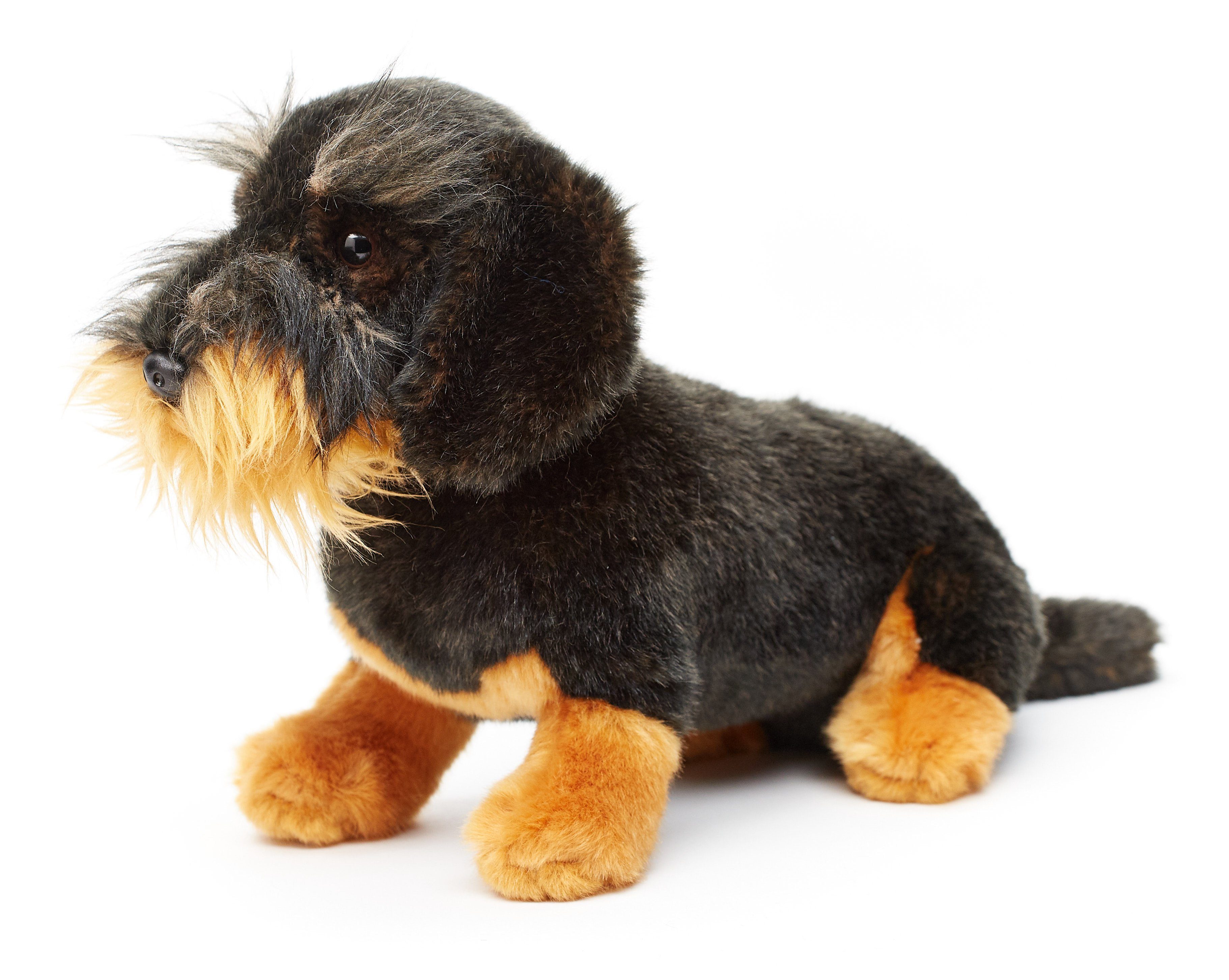 Uni-Toys Kuscheltier Rauhaardackel - m./o. Leine - 24 cm - Plüsch-Hund, Dackel - Plüschtier, zu 100 % recyceltes Füllmaterial