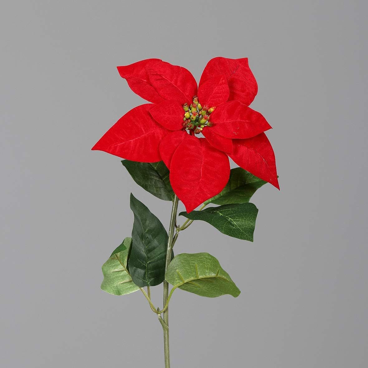 Kunstpflanze Künstlicher Weihnachtssternstecker Rot Höhe 55cm Poinsettie, mucPlants