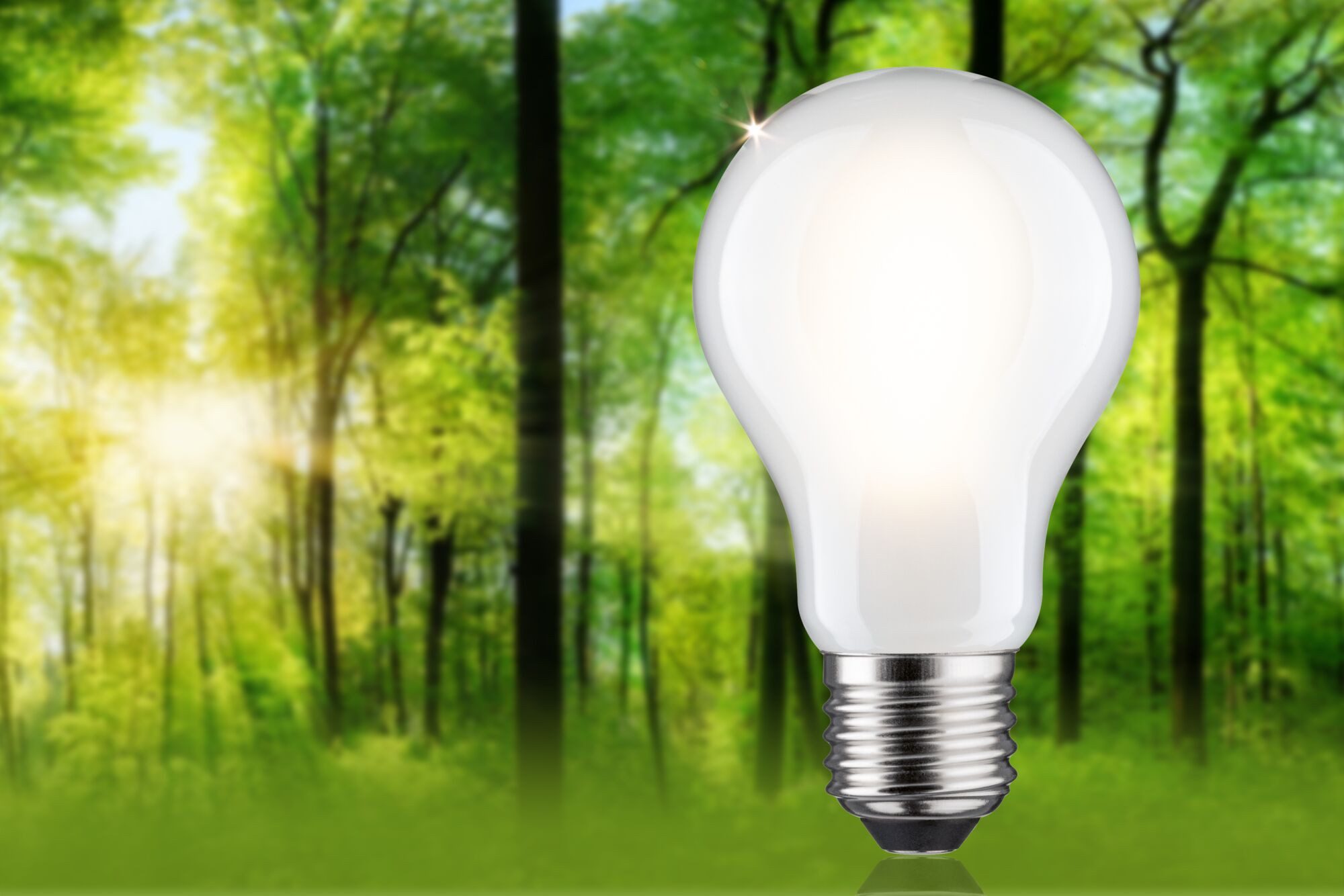 Paulmann LED-Leuchtmittel Eco-Line Filament 230V LED günstig online kaufen
