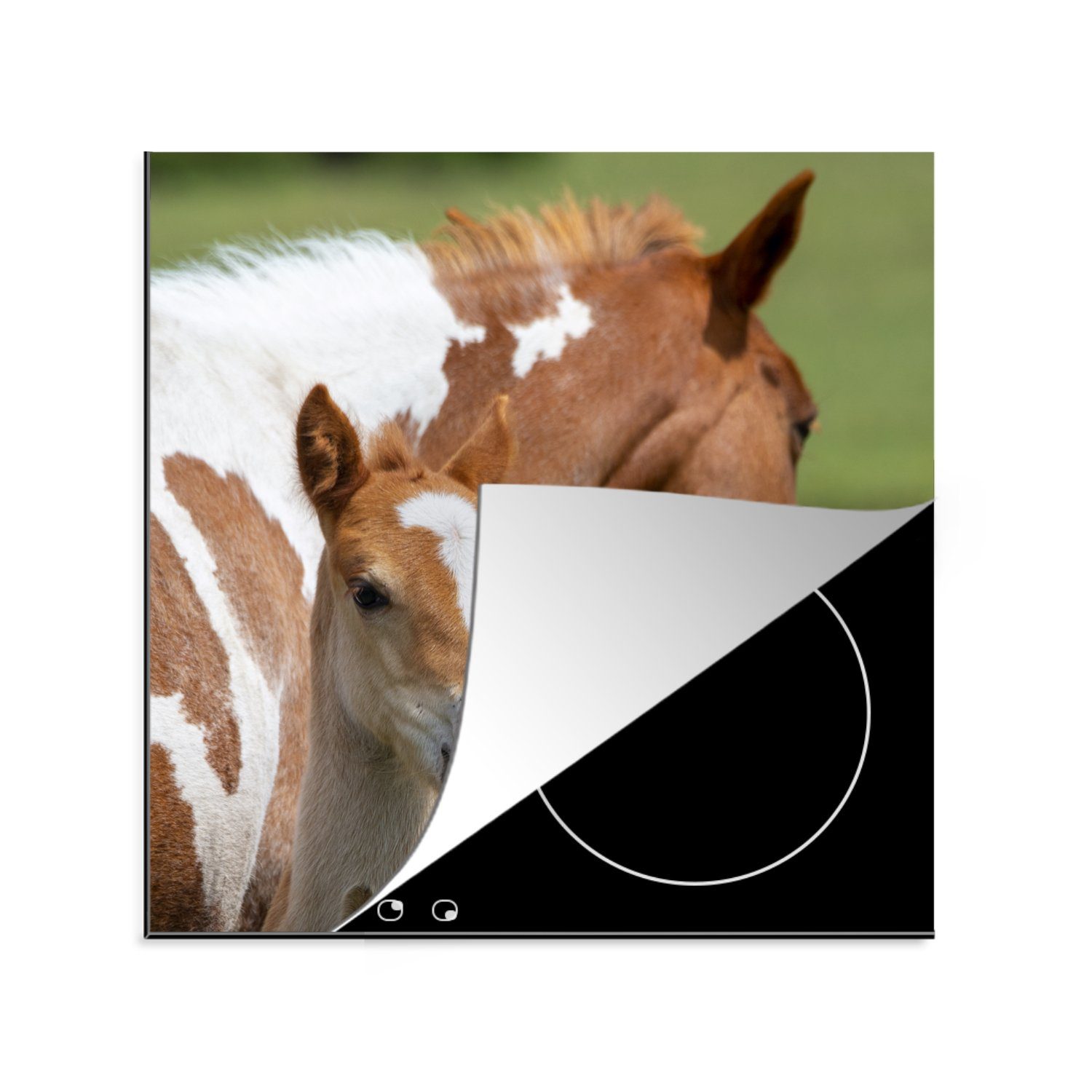 MuchoWow Herdblende-/Abdeckplatte tlg), cm, 78x78 Ceranfeldabdeckung, küche Fohlen Gras, (1 - für Pferde Arbeitsplatte Vinyl, 