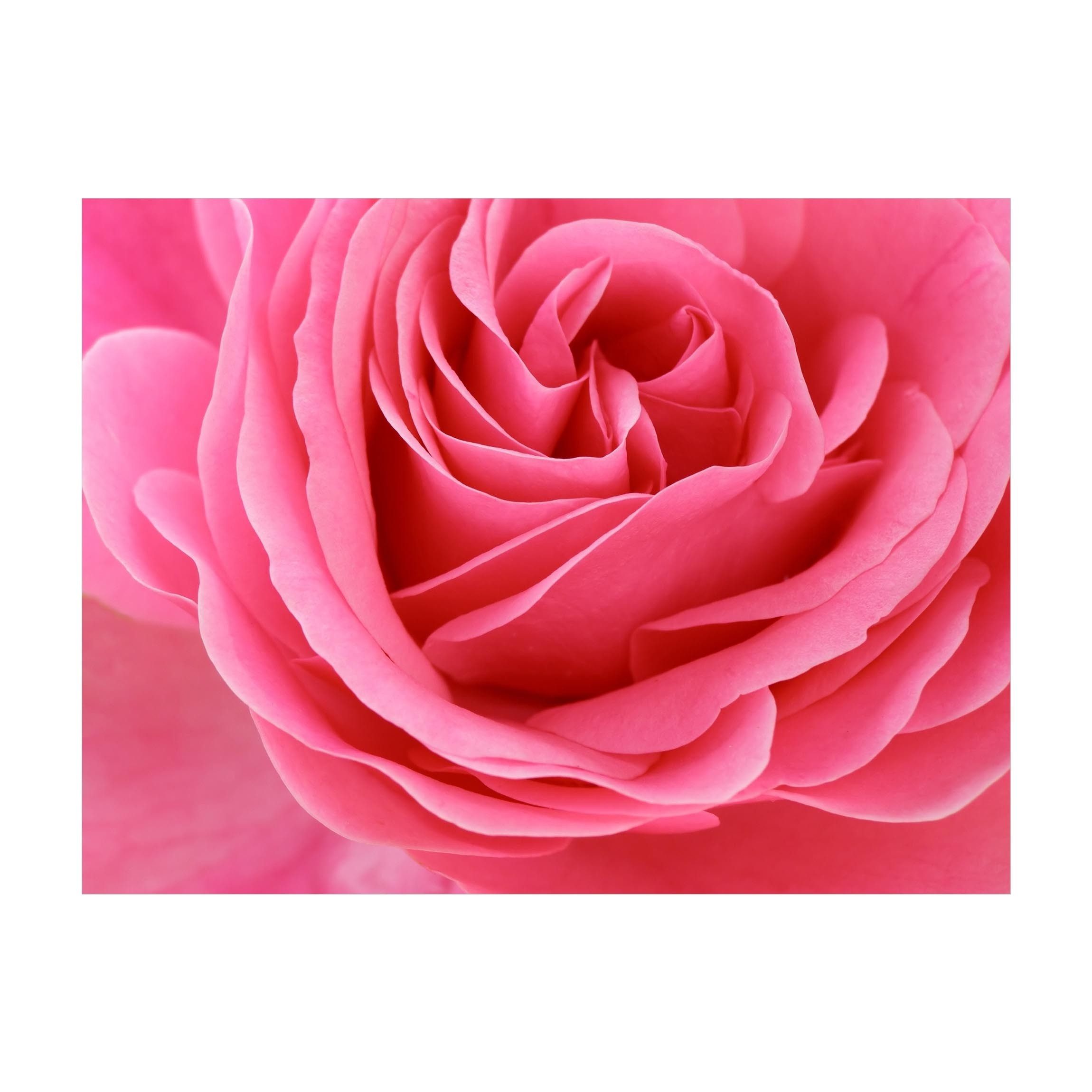 Bilderdepot24 Teppich Vinyl Wohnzimmer Schlafzimmer Flur Küche Blumen modern, rechteckig - pink glatt, nass wischbar (Küche, Tierhaare) - Saugroboter & Bodenheizung geeignet