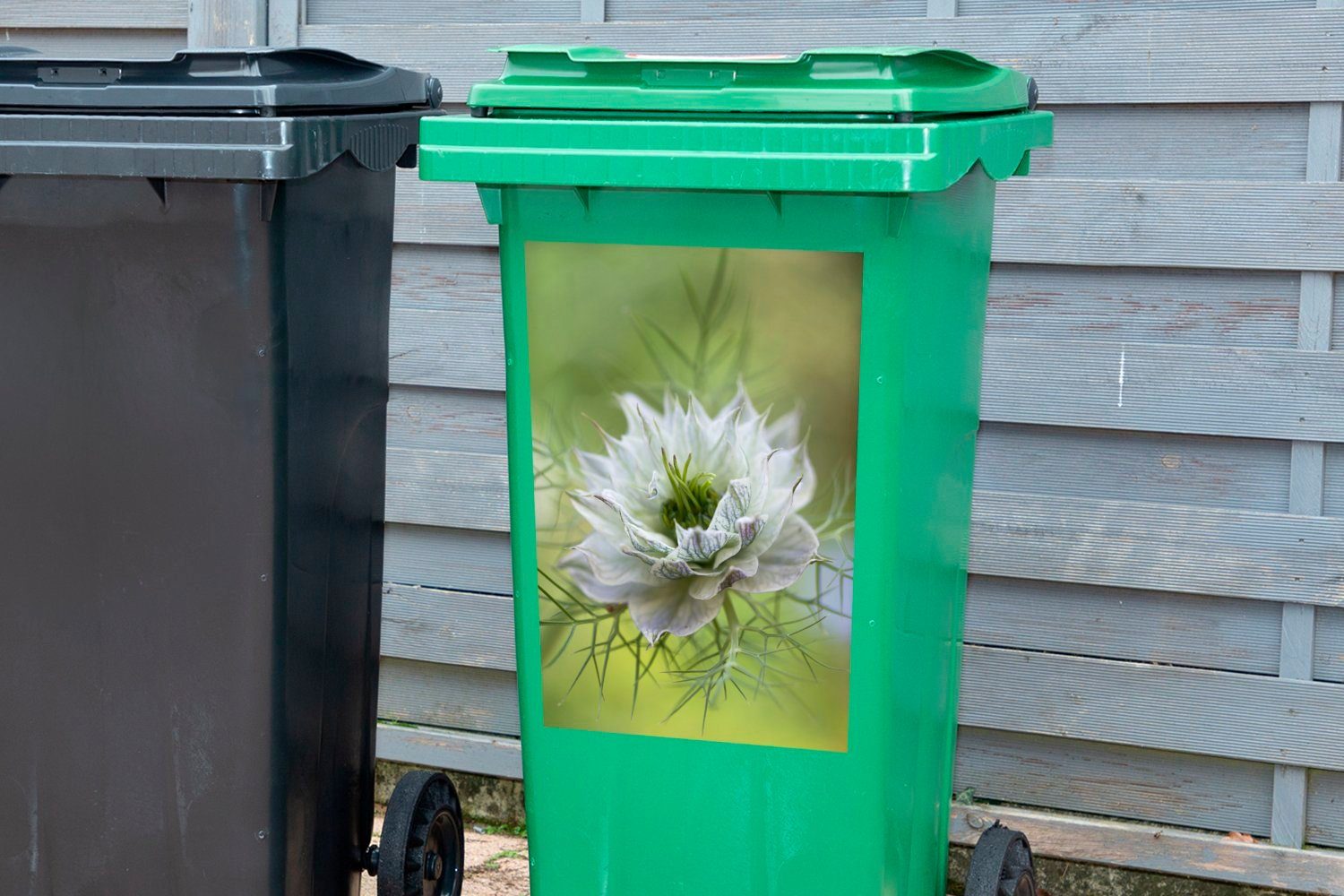 Mülltonne, Nigelblüte Container, Mülleimer-aufkleber, Abfalbehälter St), (1 Eine Wandsticker Hintergrund Sticker, grünem vor MuchoWow