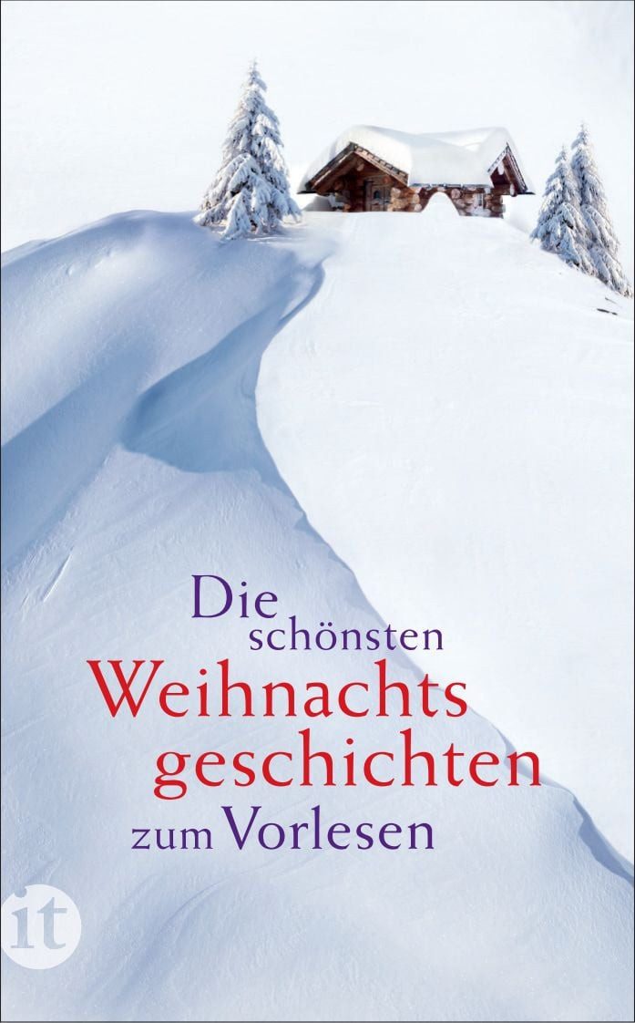 Die schönsten Weihnachtsgeschichten zum Vorlesen / diverse, Das perfekte Geschenk zu Weihnachten