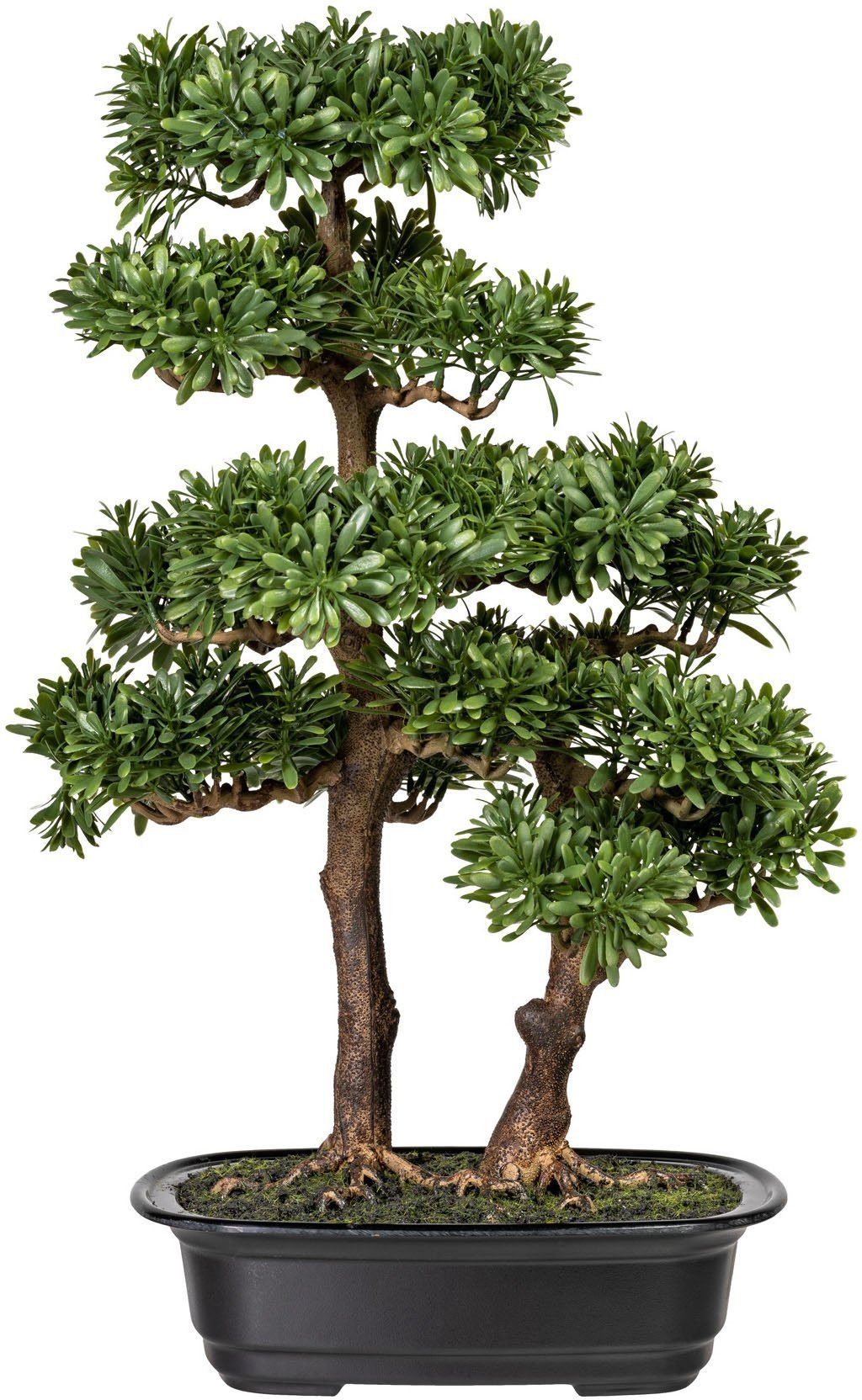 Kunstbonsai Houghton Bonsai Kunstpflanze, Home Topf affaire, Höhe 45 cm, Podocarpus, im