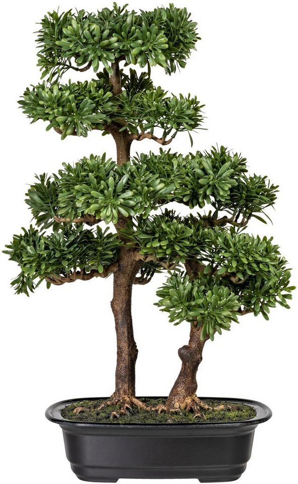Kunstbonsai Houghton Bonsai Podocarpus, Home affaire, Höhe 45 cm,  Kunstpflanze, im Topf