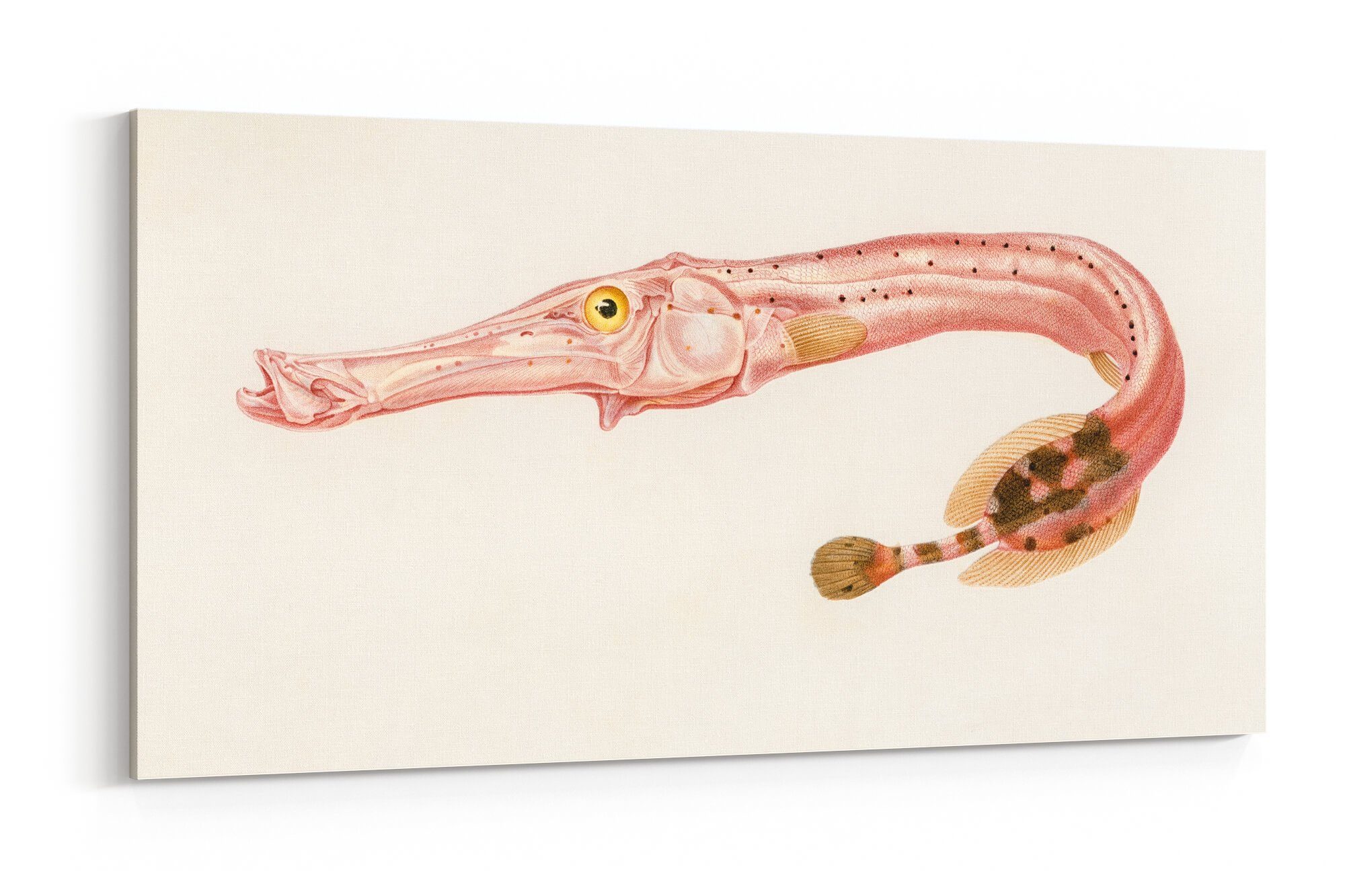 Sinus Art Leinwandbild, (1 St)