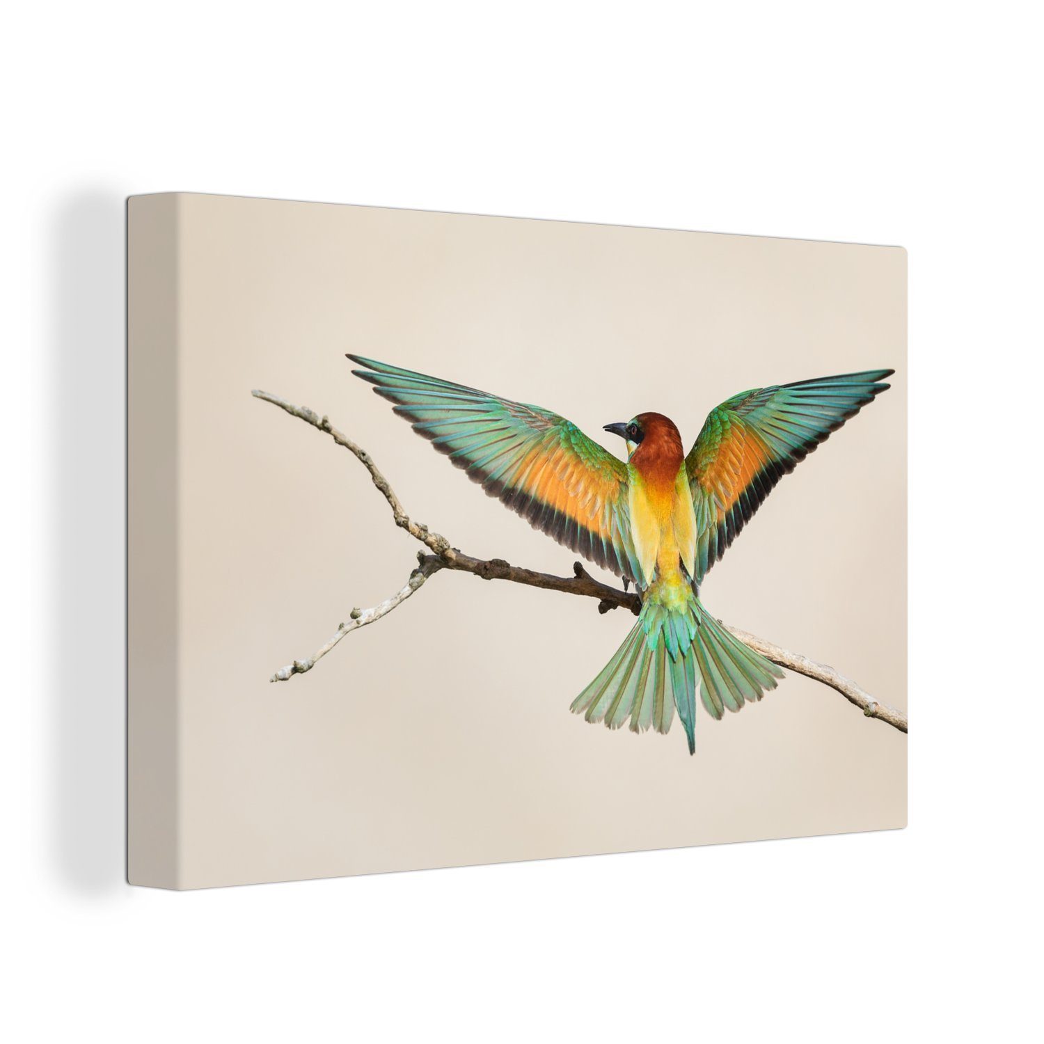 OneMillionCanvasses® Leinwandbild Vogel - Zweig - Grün, (1 St), Wandbild  Leinwandbilder, Aufhängefertig, Wanddeko, 30x20 cm