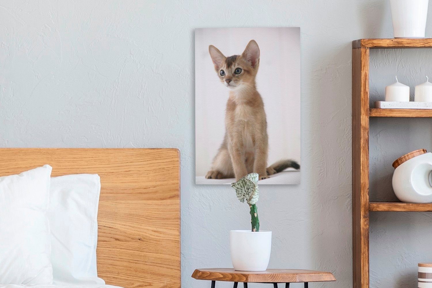Abessinier-Kätzchen (1 Hintergrund, Leinwandbild fertig OneMillionCanvasses® St), inkl. Zackenaufhänger, weißem auf bespannt cm 20x30 Leinwandbild Gemälde,