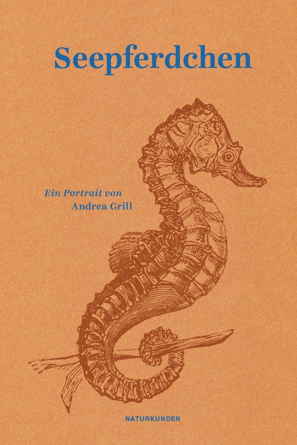 Seepferdchen / Andrea Grill