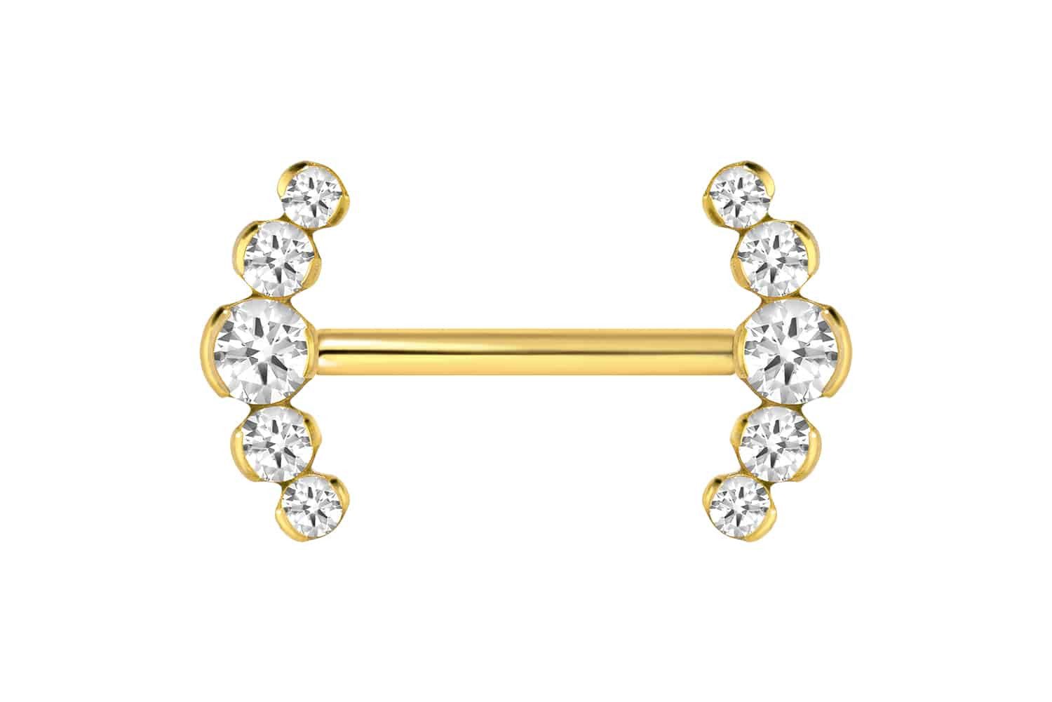 PIERCINGLINE Brustwarzenpiercing Titan Barbell mit Push Fit 5 KRISTALLE (Barbells, 1-tlg)