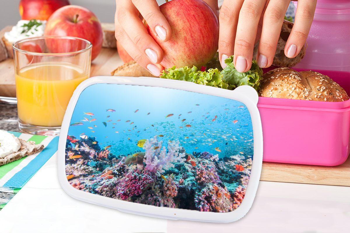 Kinder, - Kunststoff, Brotdose Brotbox Farben, Lunchbox Snackbox, MuchoWow für (2-tlg), - Koralle Fische Kunststoff Mädchen, Erwachsene, rosa