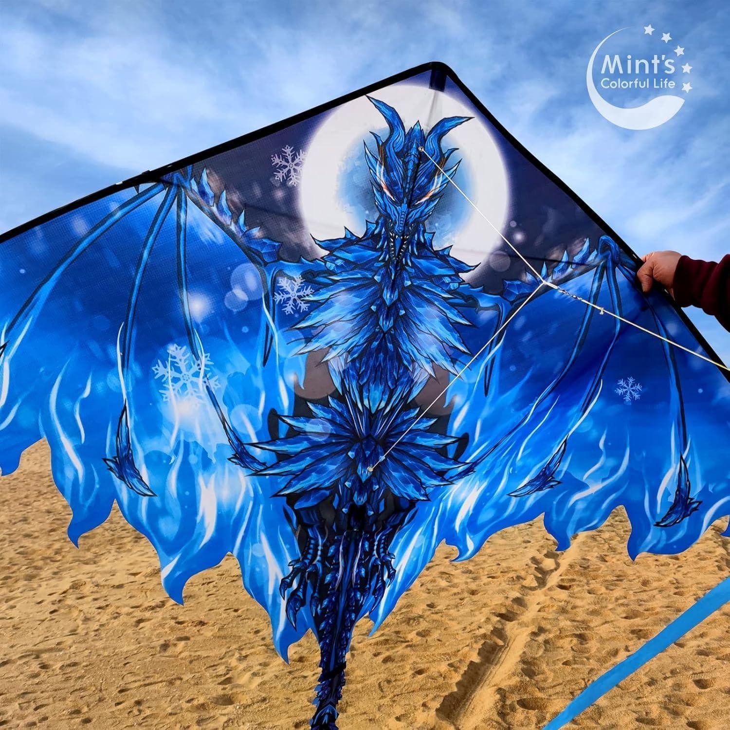 LuxusKollektion Flug-Drache Kinder/Erwachsene Drachen 60 Zoll blau