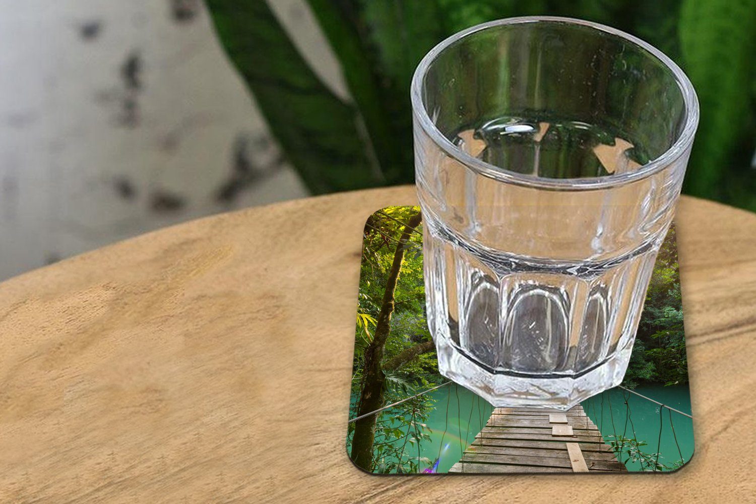 Pflanzen, Korkuntersetzer, 6-tlg., - MuchoWow Tischuntersetzer, Gläser, für Untersetzer, Tasse Brücke Dschungel Glasuntersetzer Wasser - - Natur - Glasuntersetzer, Zubehör