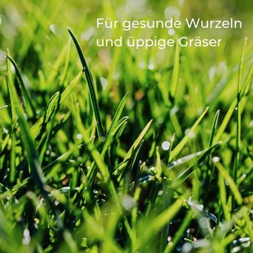 GarPet Rasensand Rasensand Gartensand 25 kg Rasenpflege Quarzsand Wurzelaktivator