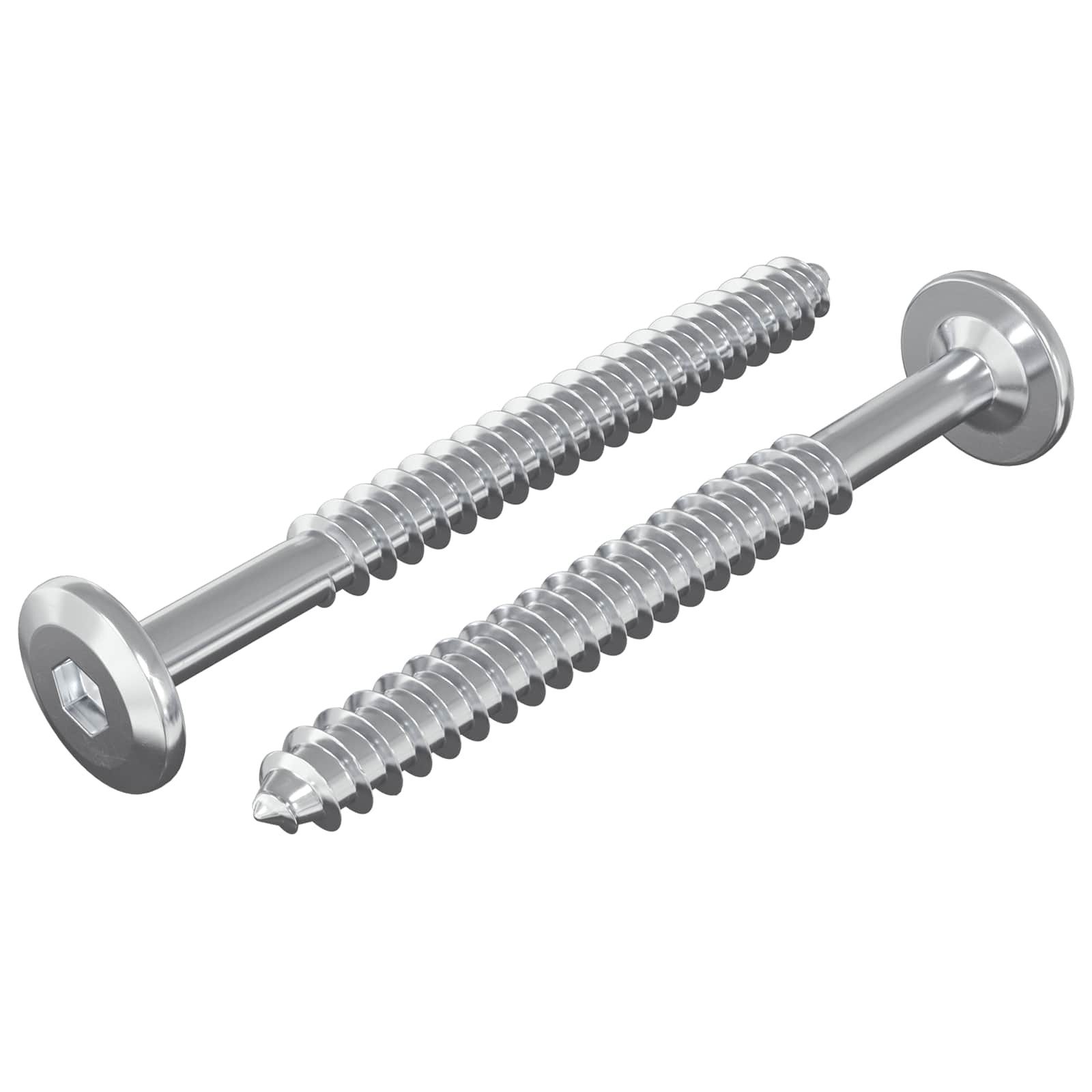 vidaXL Schraube Holzschrauben 2 Stk. Silber M6 x 70 mm Stahl, (2 St)
