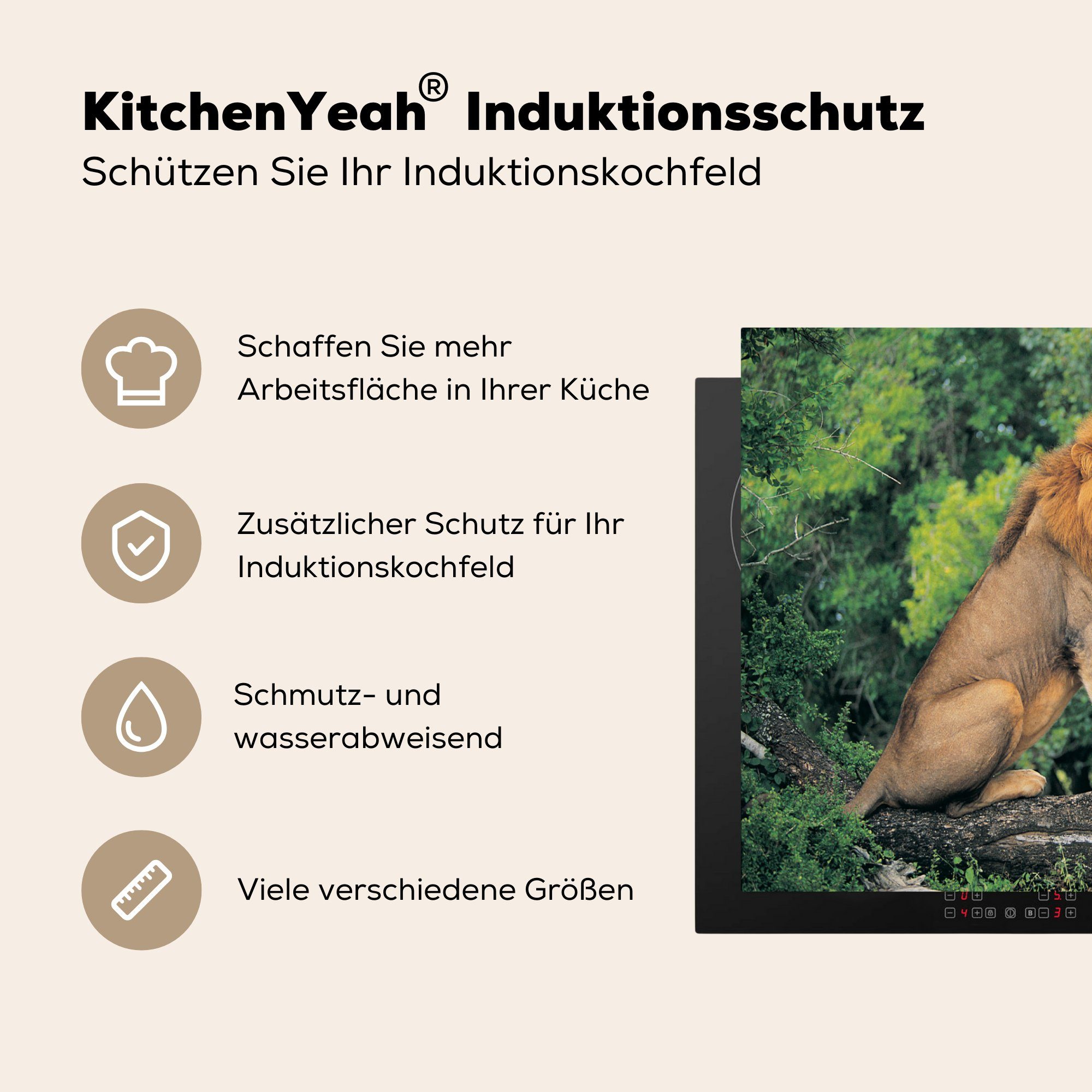 MuchoWow Herdblende-/Abdeckplatte Löwe - Induktionskochfeld 81x52 für küche, Schutz (1 tlg), Vinyl, Gras, Ceranfeldabdeckung Natur die - cm